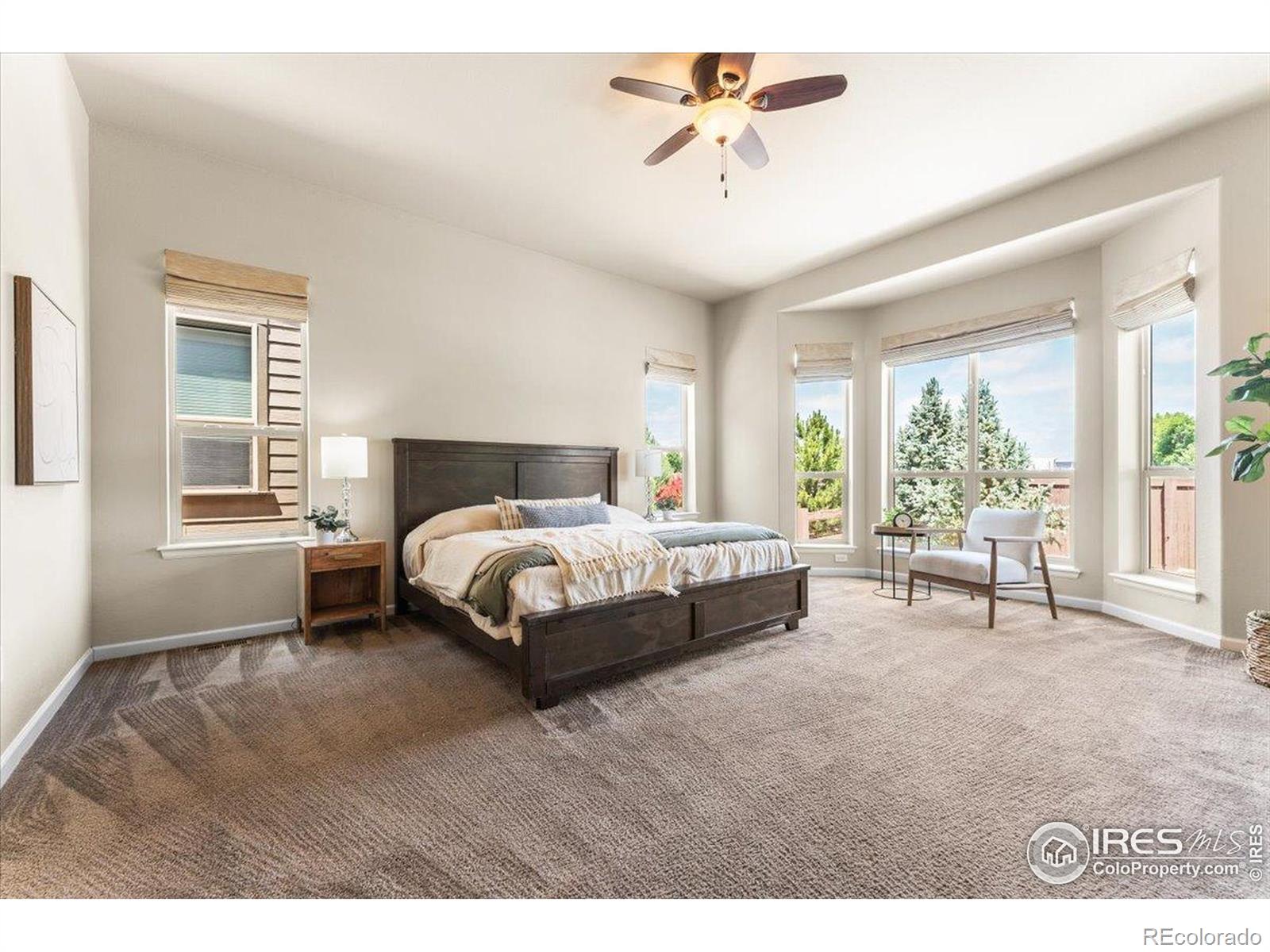 MLS Image #16 for 3050  zephyr road,fort collins, Colorado