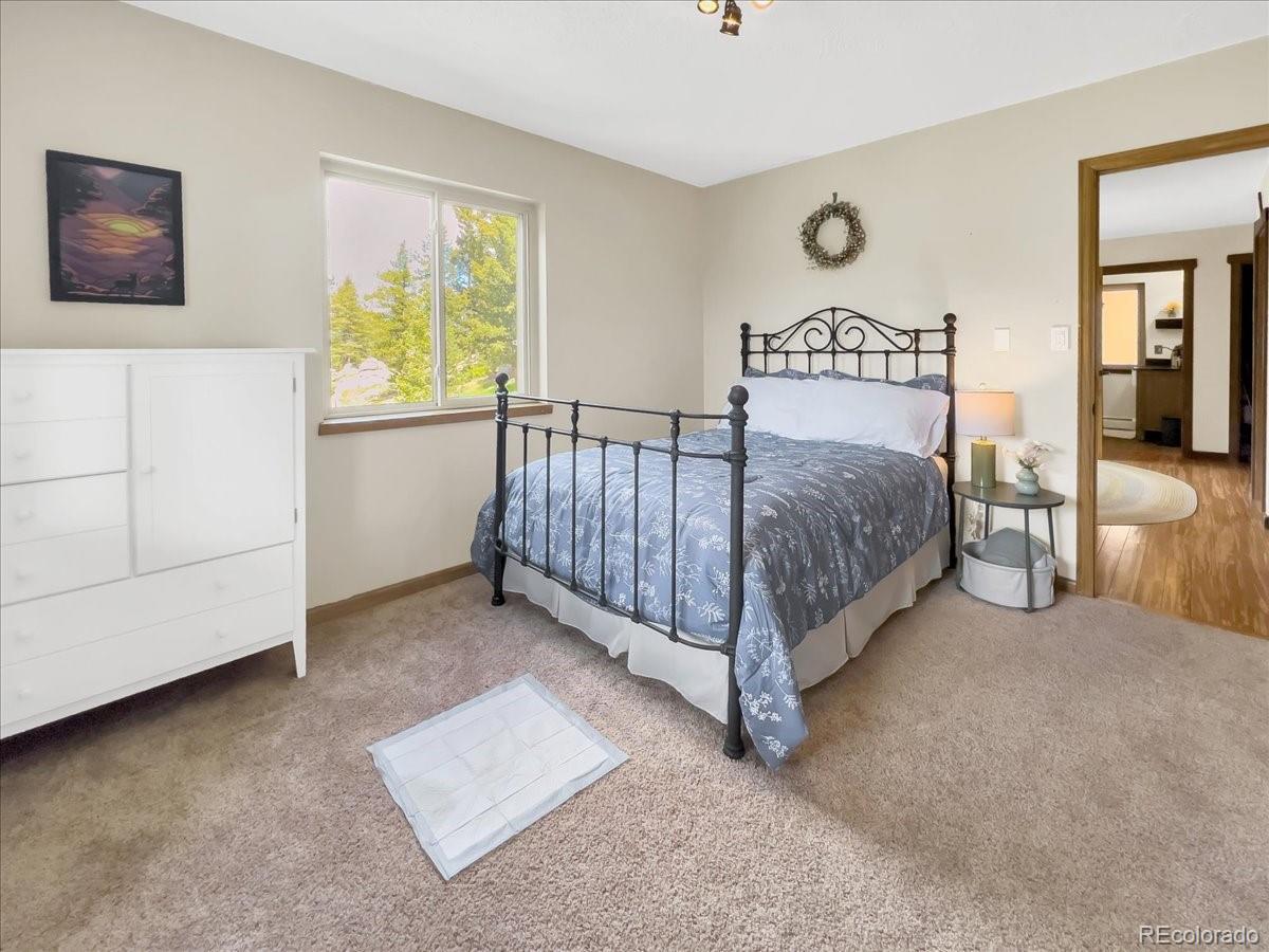 MLS Image #13 for 22155  cook lane,morrison, Colorado