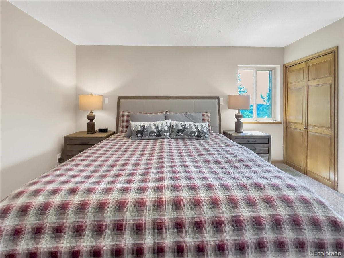 MLS Image #14 for 22155  cook lane,morrison, Colorado