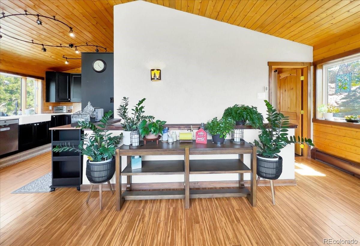 MLS Image #8 for 22155  cook lane,morrison, Colorado
