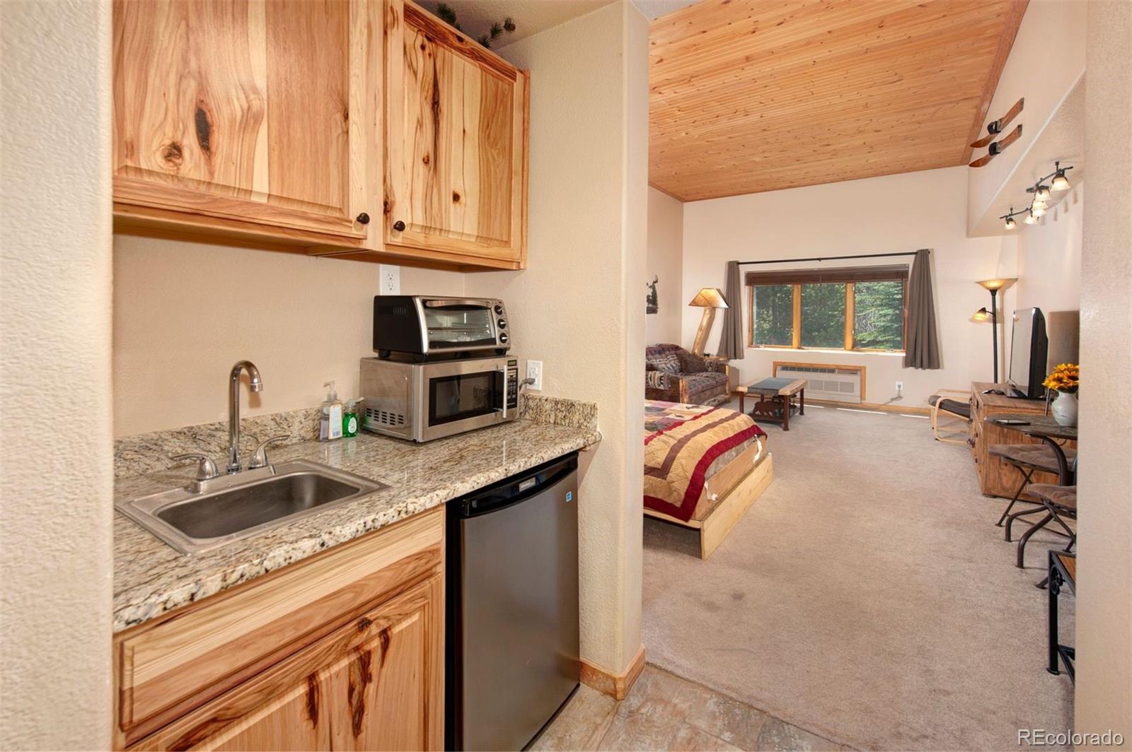 MLS Image #9 for 23110  us highway 6 ,keystone, Colorado