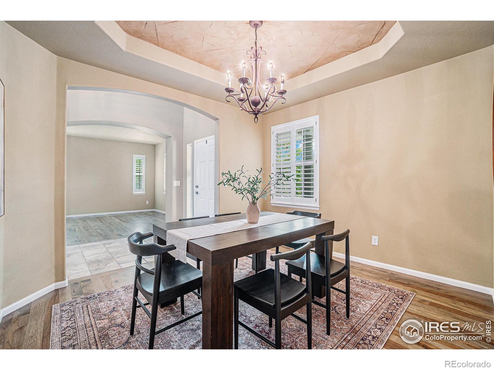 MLS Image #10 for 1302  forrestal drive,fort collins, Colorado