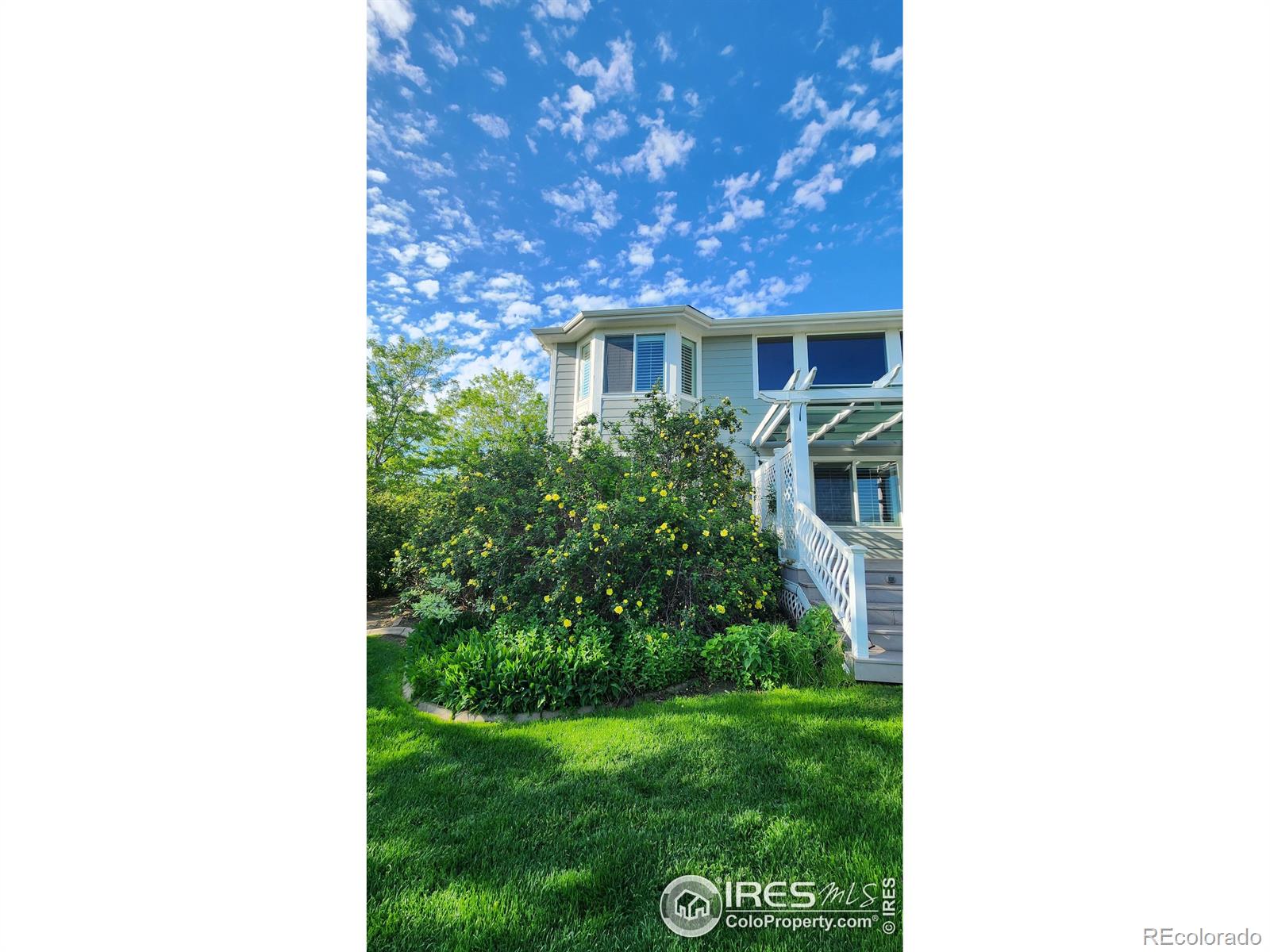 MLS Image #37 for 1302  forrestal drive,fort collins, Colorado