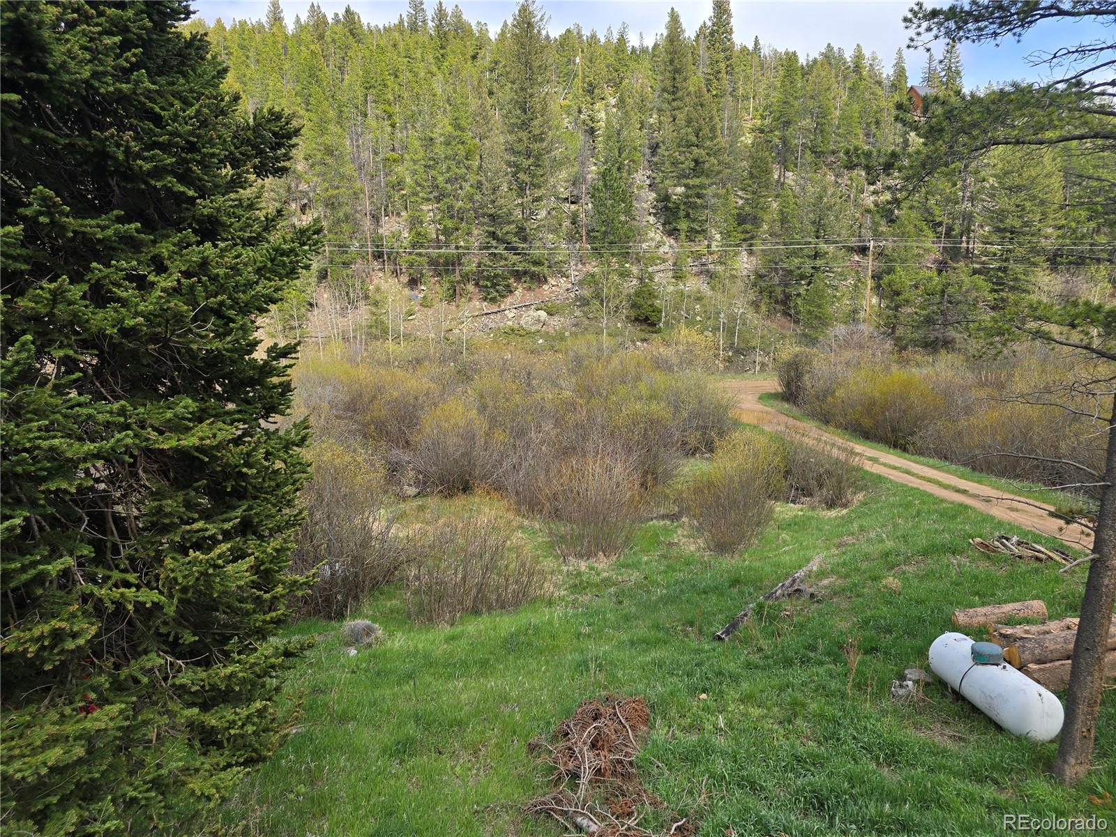 MLS Image #18 for 2793 s beaver creek road,black hawk, Colorado