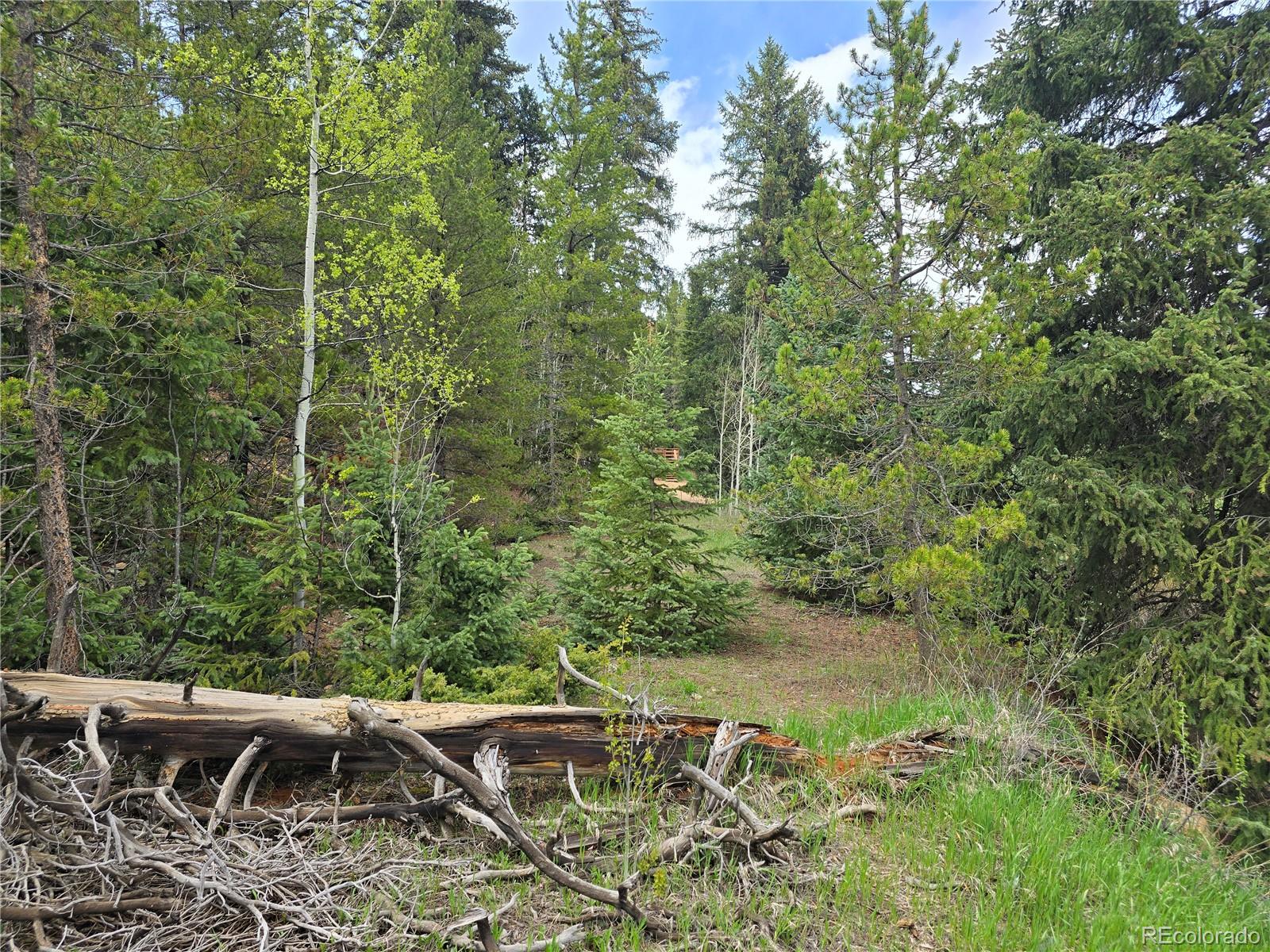 MLS Image #19 for 2793 s beaver creek road,black hawk, Colorado