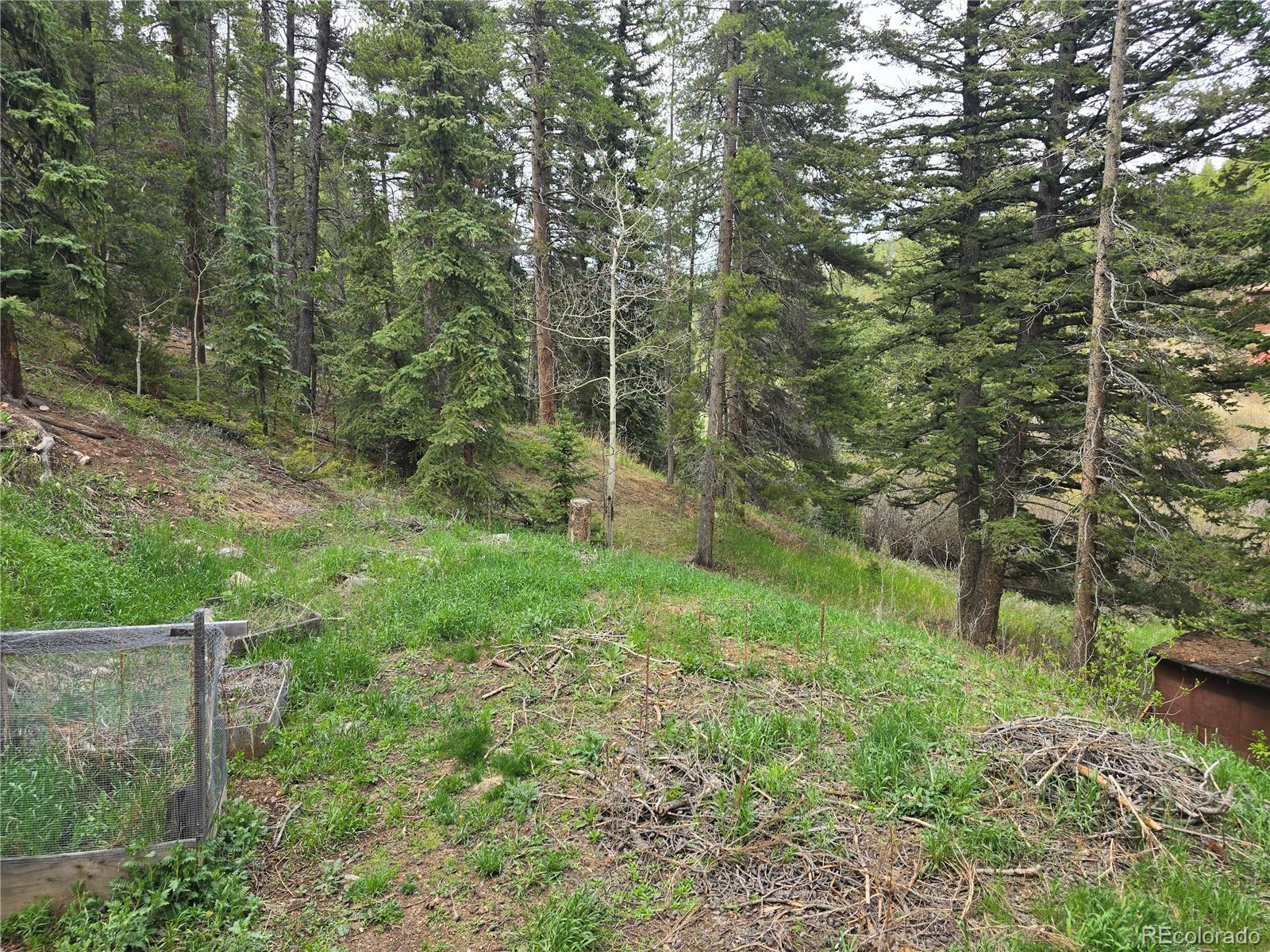 MLS Image #21 for 2793 s beaver creek road,black hawk, Colorado