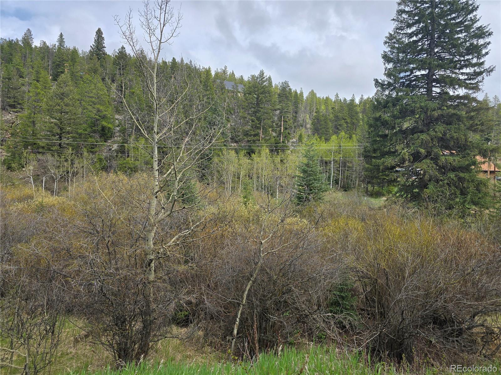 MLS Image #22 for 2793 s beaver creek road,black hawk, Colorado