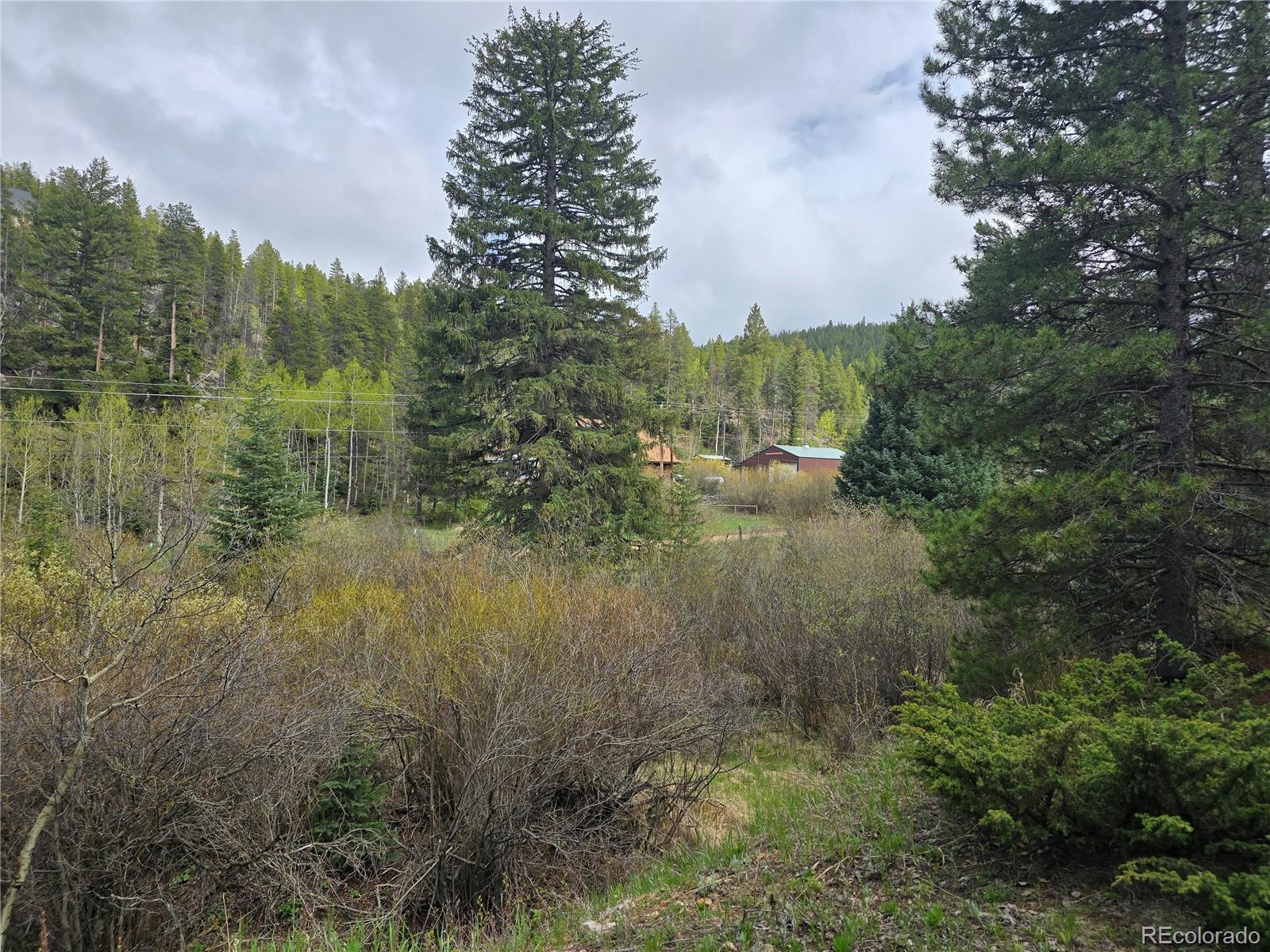 MLS Image #23 for 2793 s beaver creek road,black hawk, Colorado