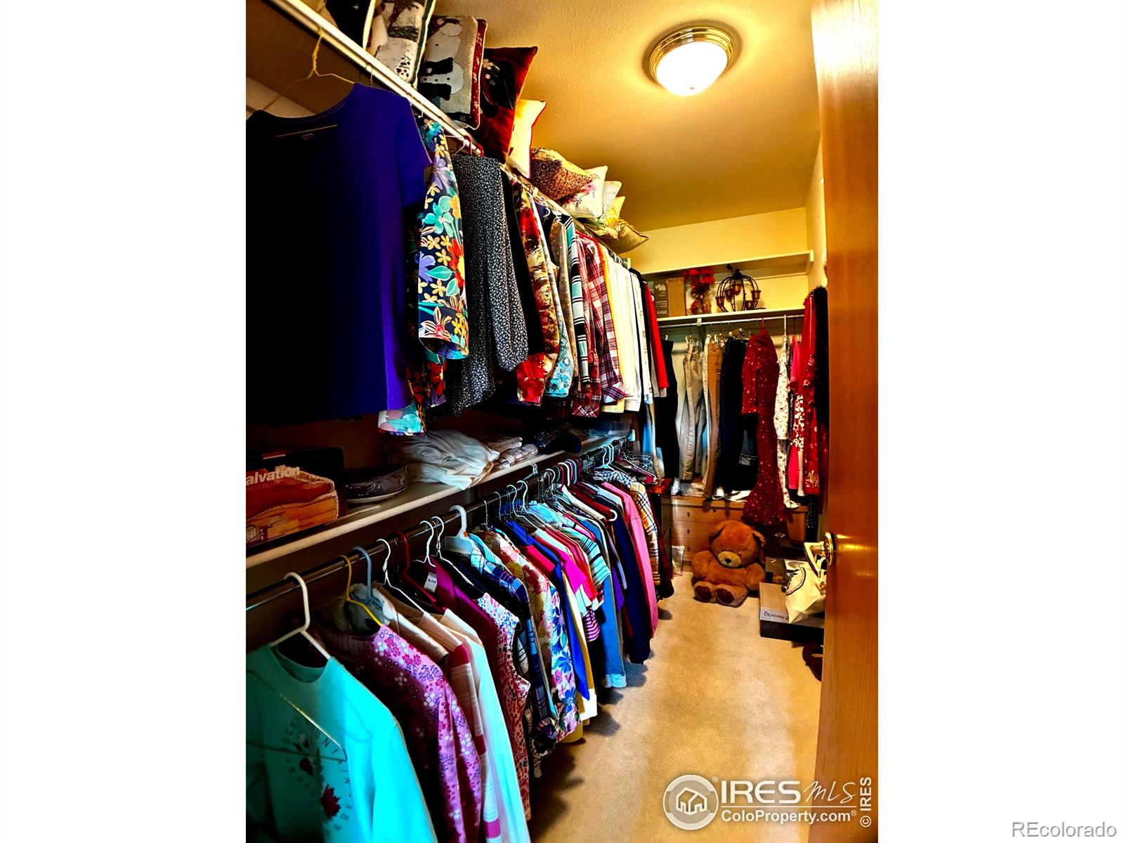 MLS Image #21 for 1515  tulip court,longmont, Colorado