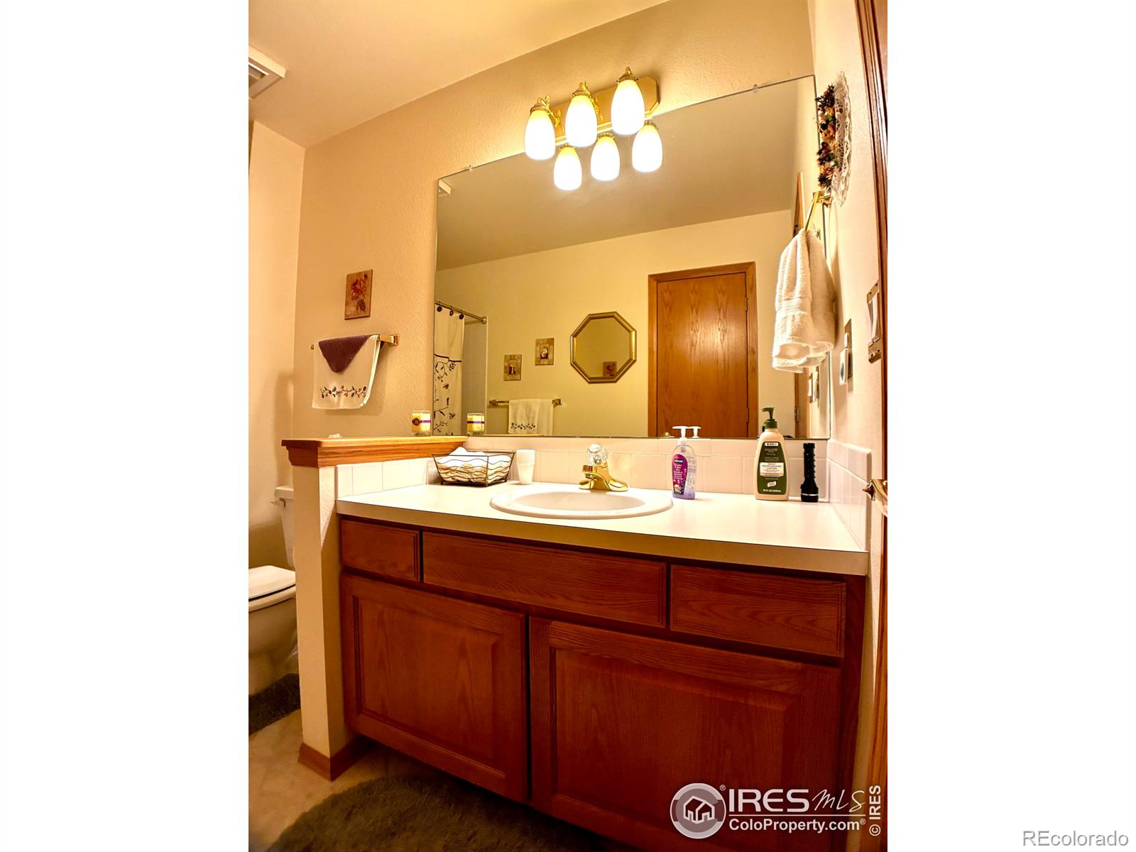 MLS Image #26 for 1515  tulip court,longmont, Colorado