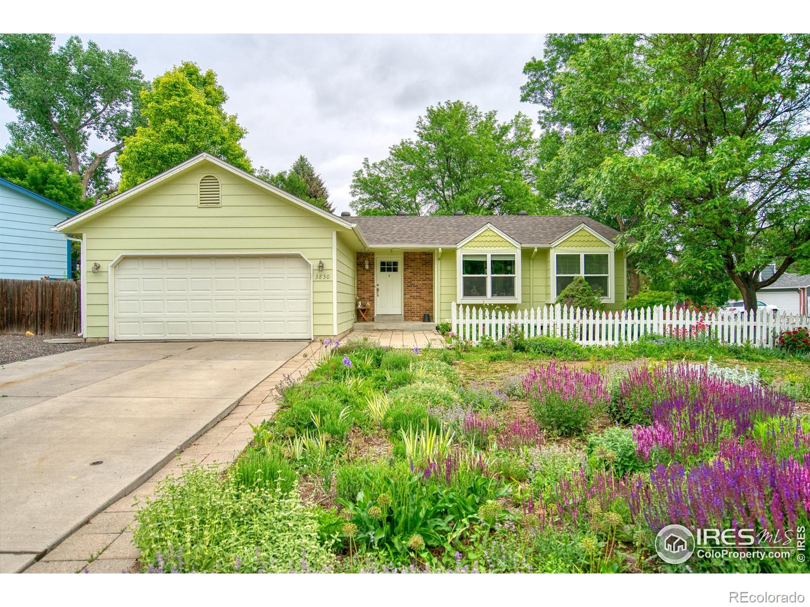 CMA Image for 3830  Arctic Fox Drive,Fort Collins, Colorado