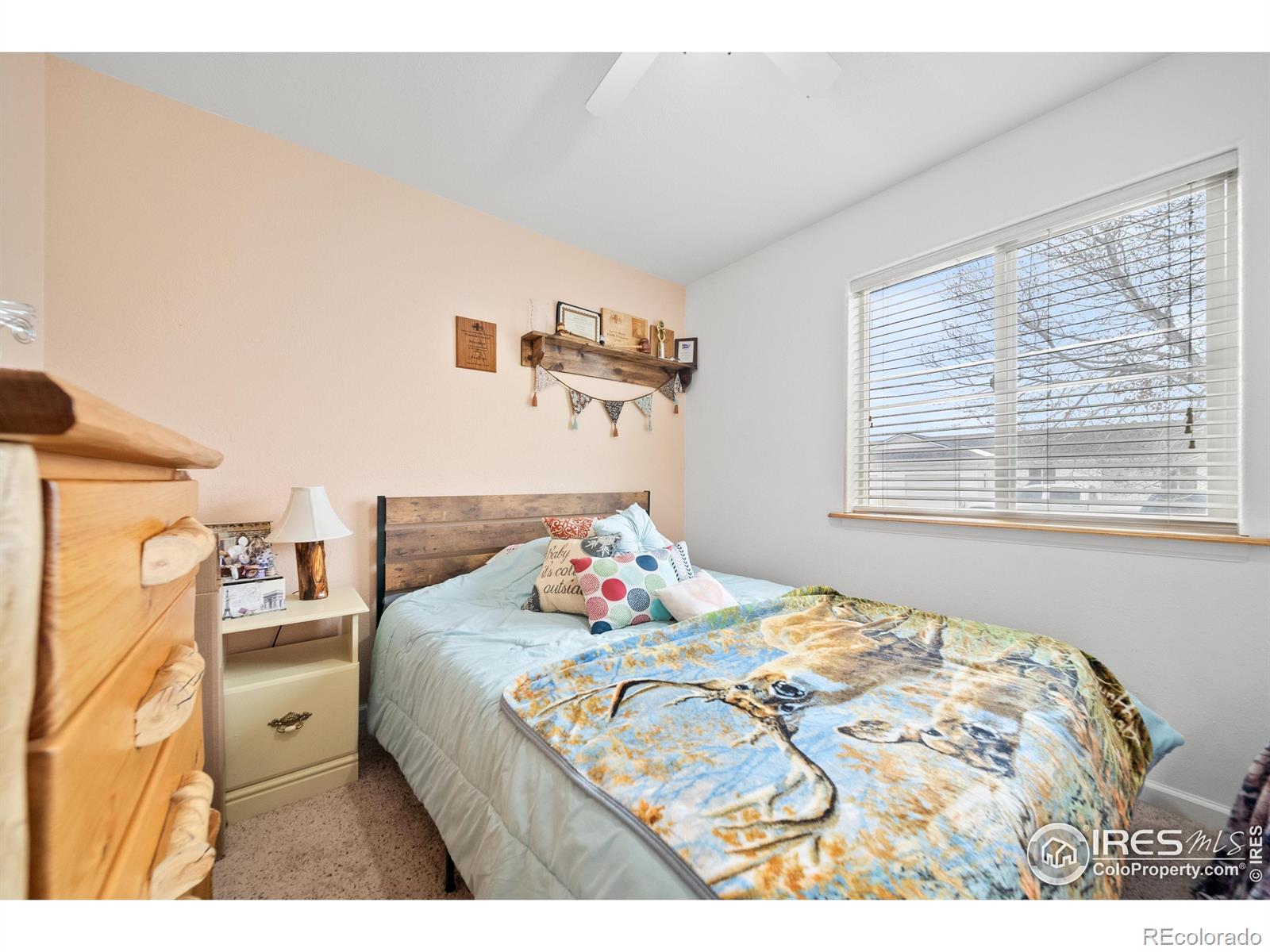 MLS Image #11 for 1424  edmunds street,brush, Colorado