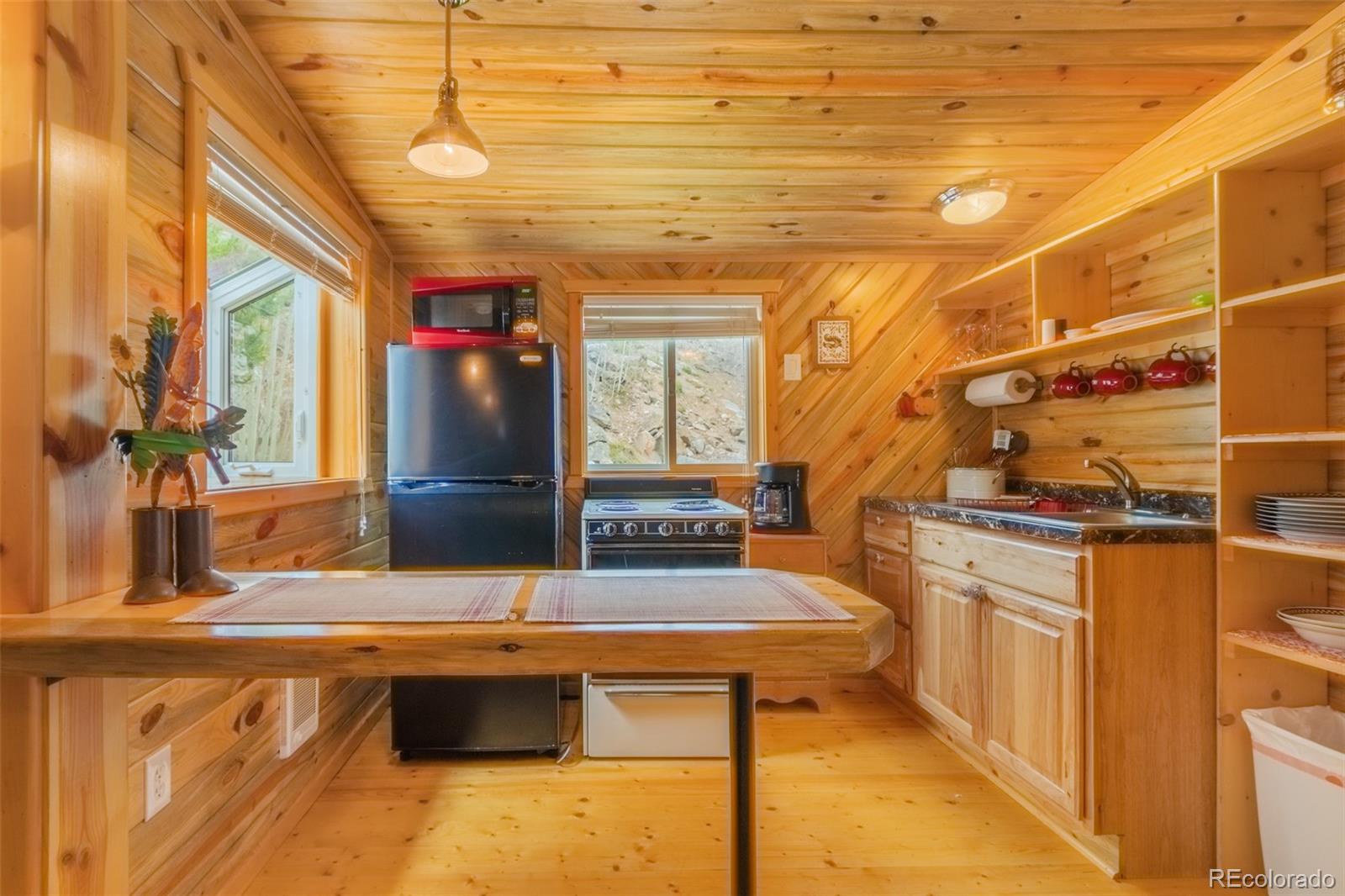 MLS Image #2 for 1450  pine lane ,grand lake, Colorado