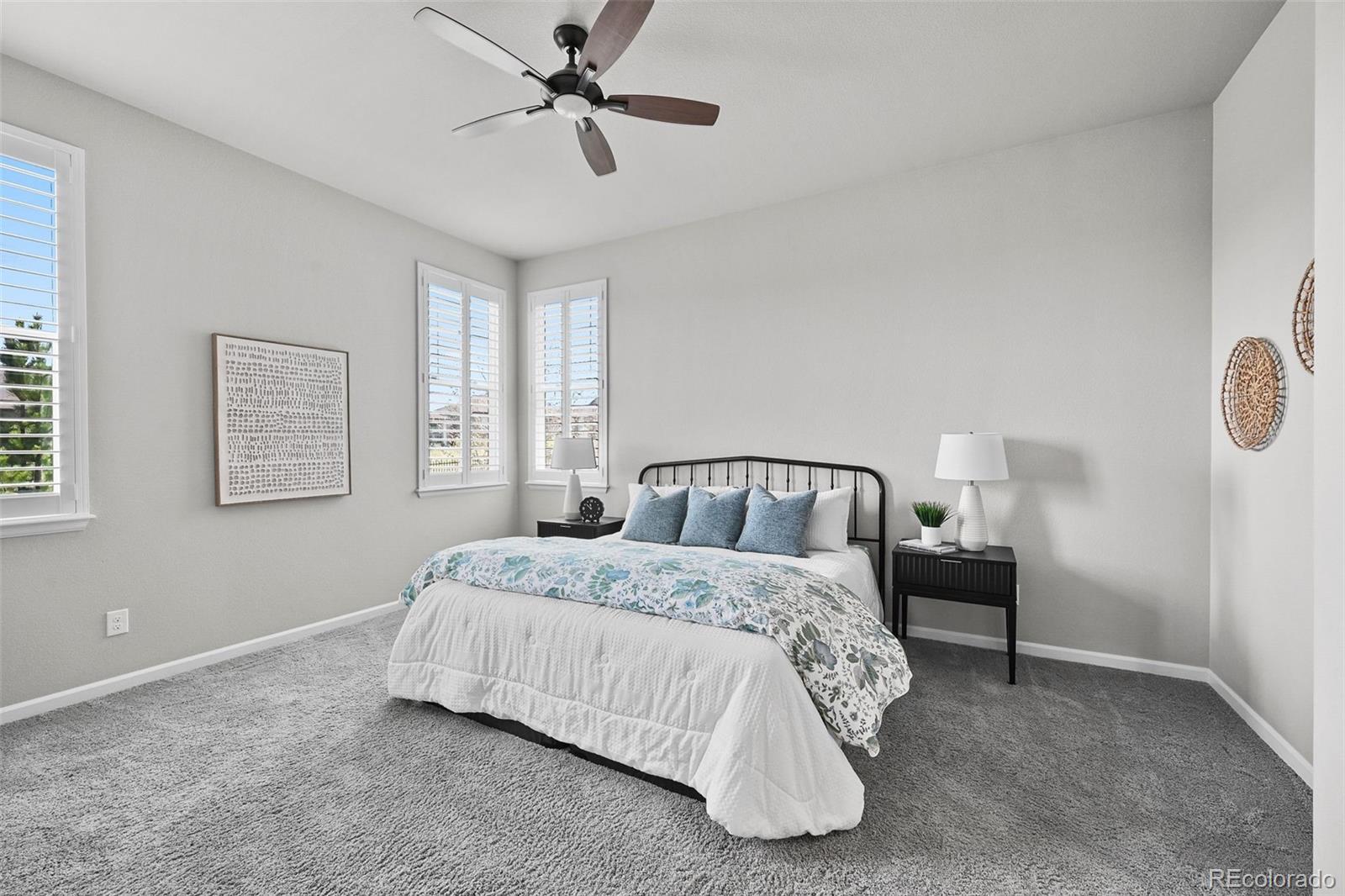MLS Image #10 for 3429  goodyear street,castle rock, Colorado
