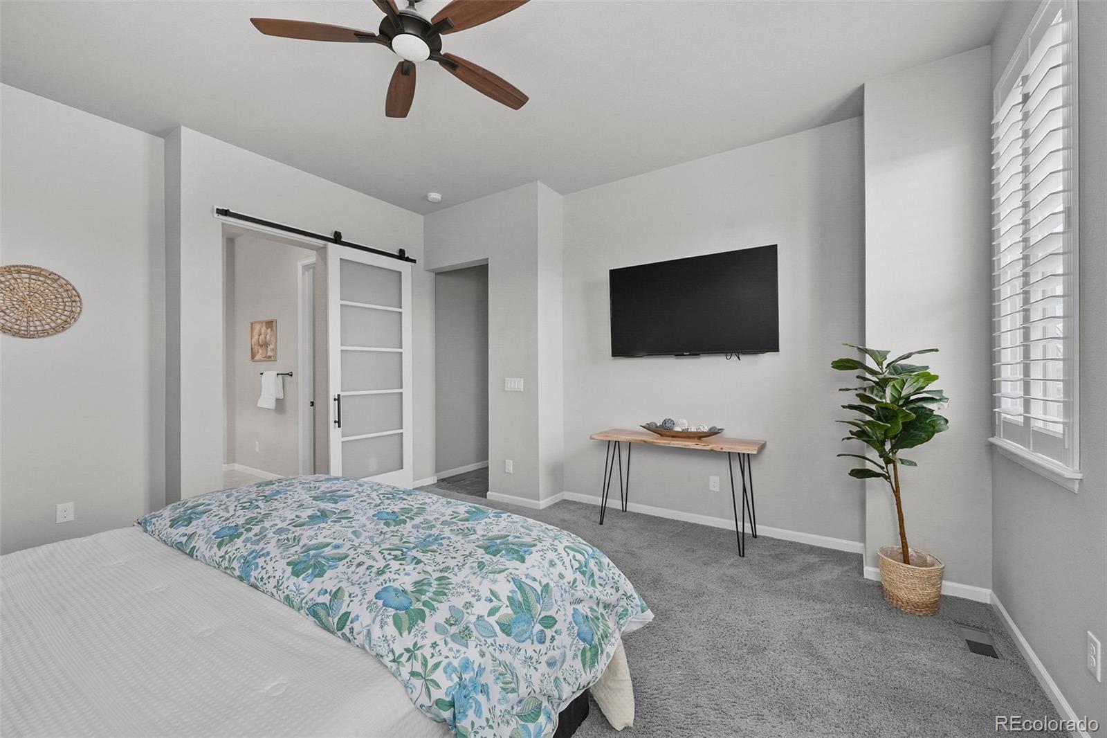 MLS Image #11 for 3429  goodyear street,castle rock, Colorado