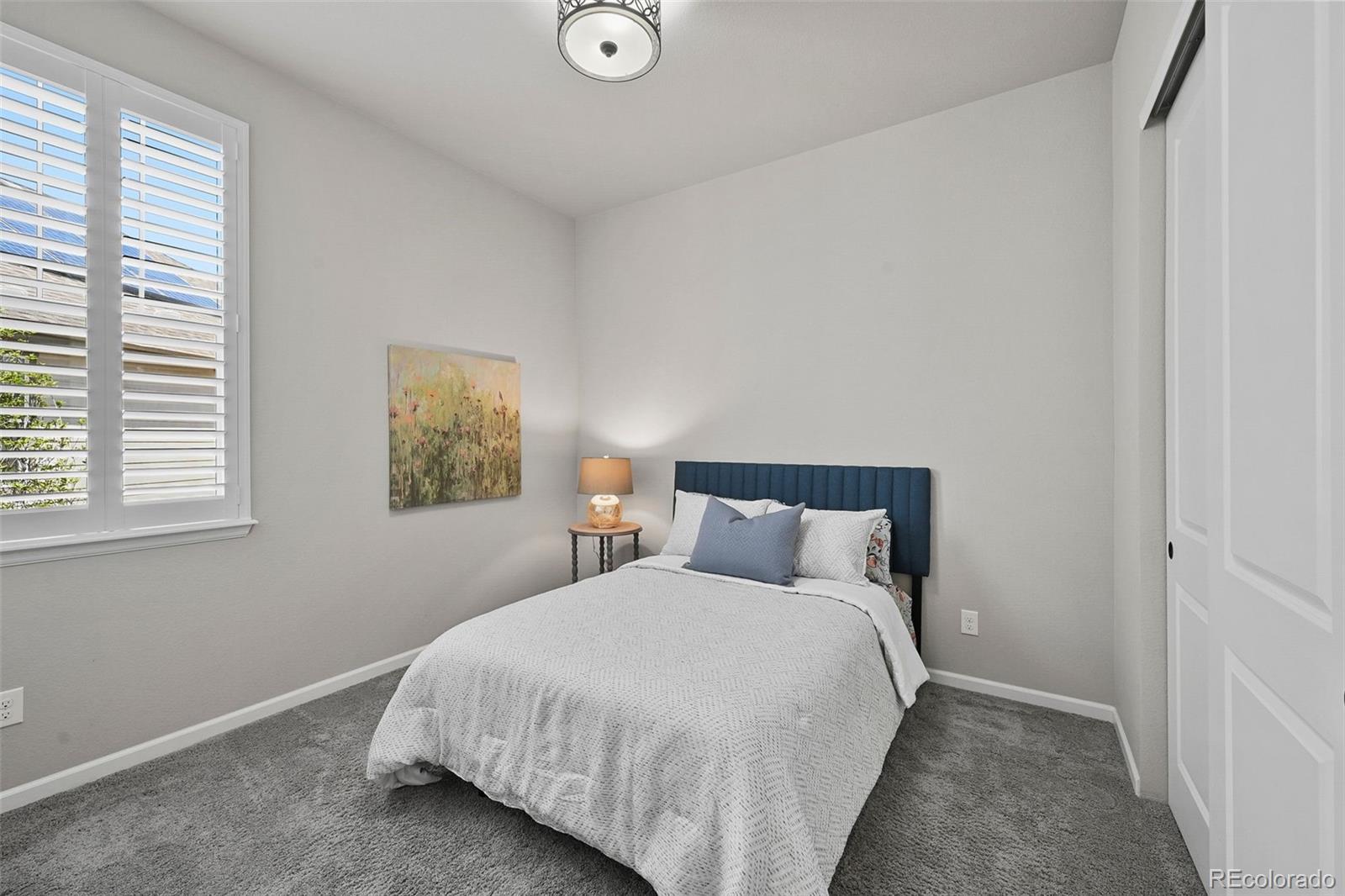 MLS Image #15 for 3429  goodyear street,castle rock, Colorado