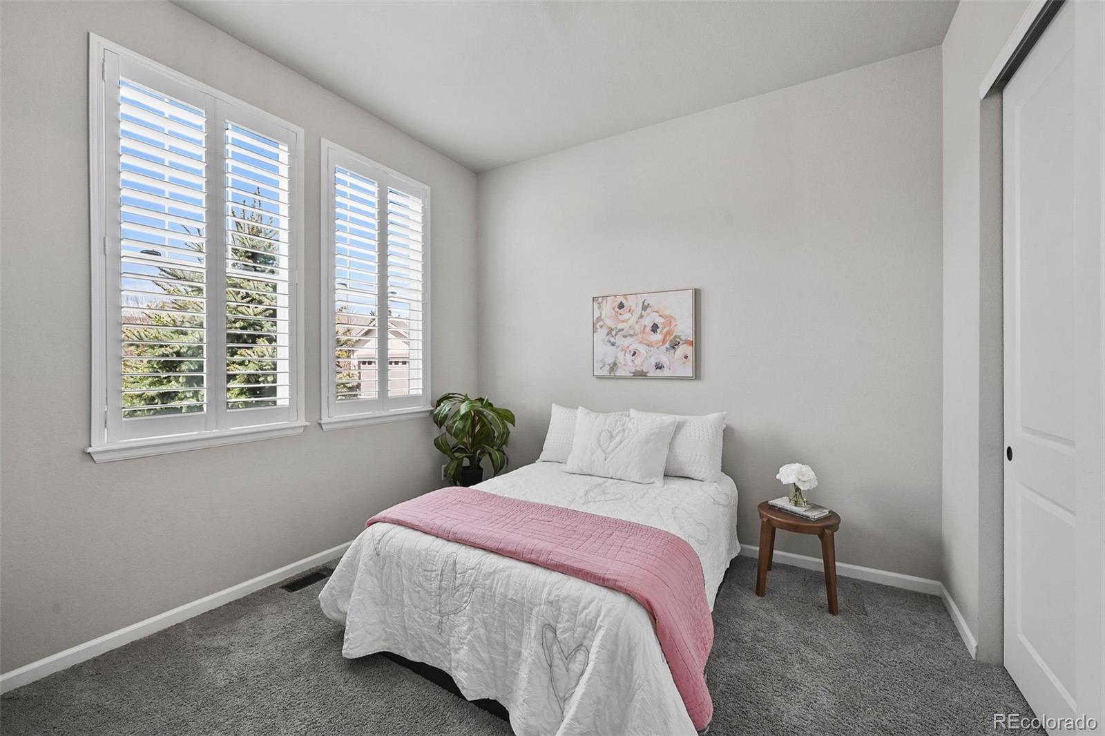 MLS Image #16 for 3429  goodyear street,castle rock, Colorado