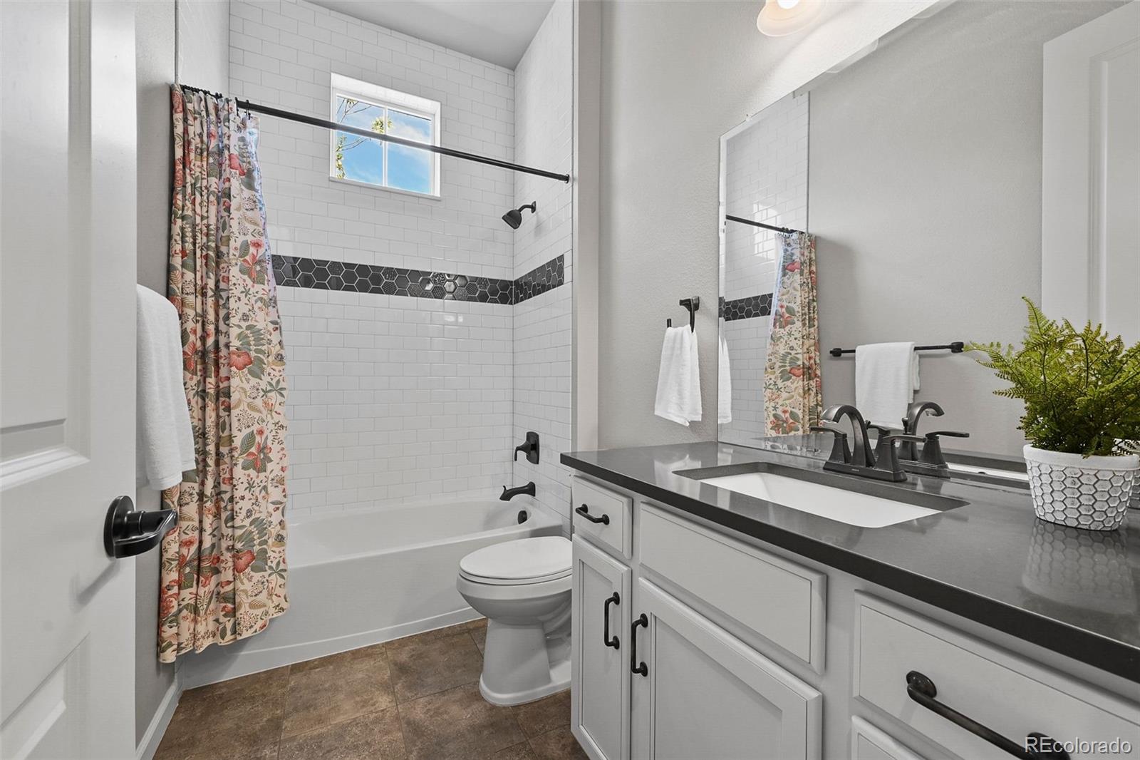 MLS Image #17 for 3429  goodyear street,castle rock, Colorado