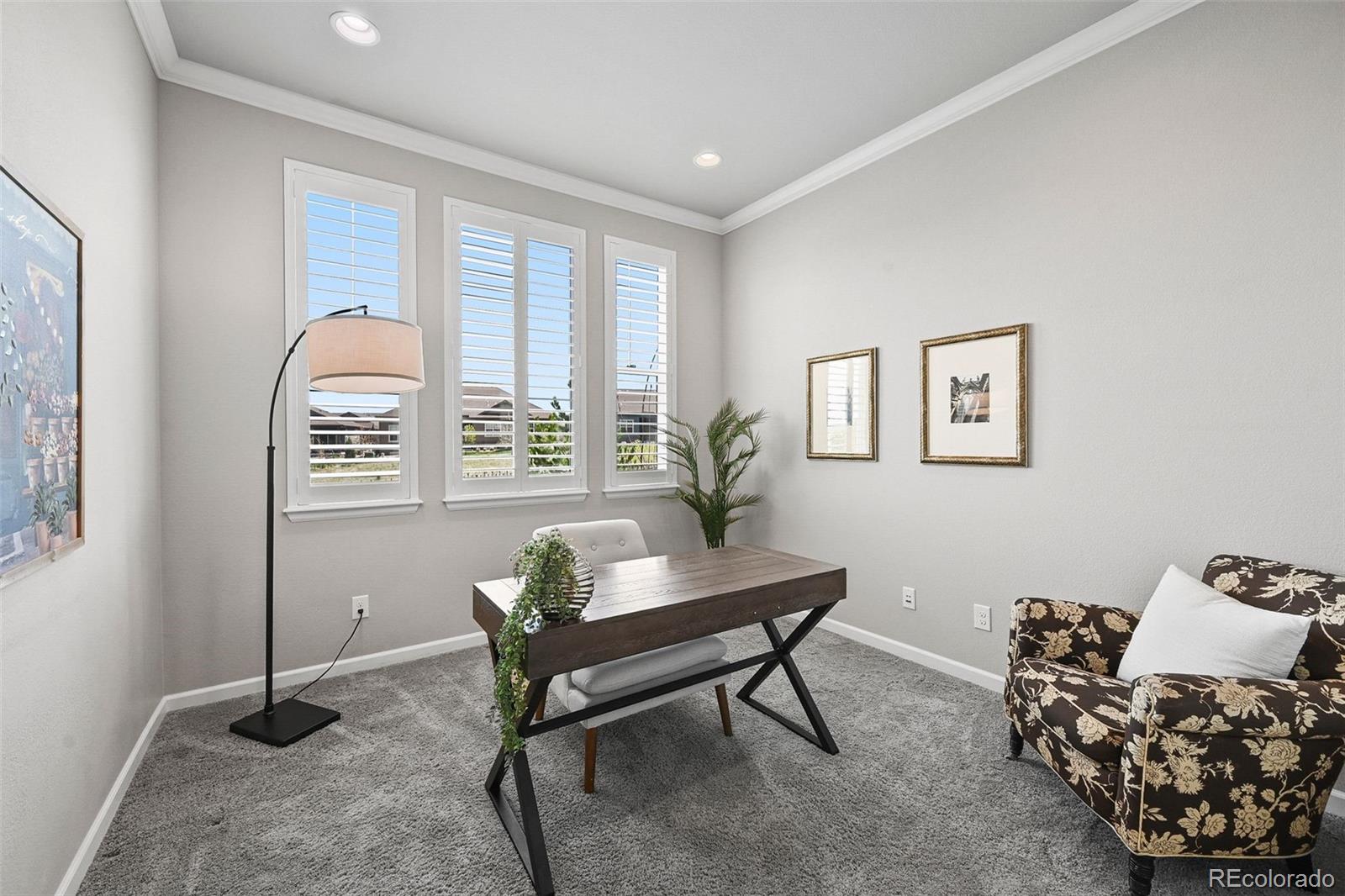 MLS Image #18 for 3429  goodyear street,castle rock, Colorado