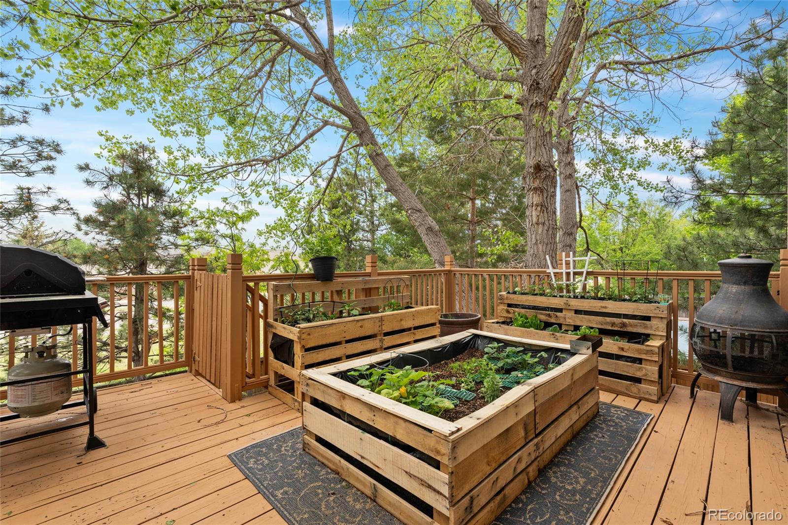 MLS Image #42 for 20740  parker vista road,parker, Colorado