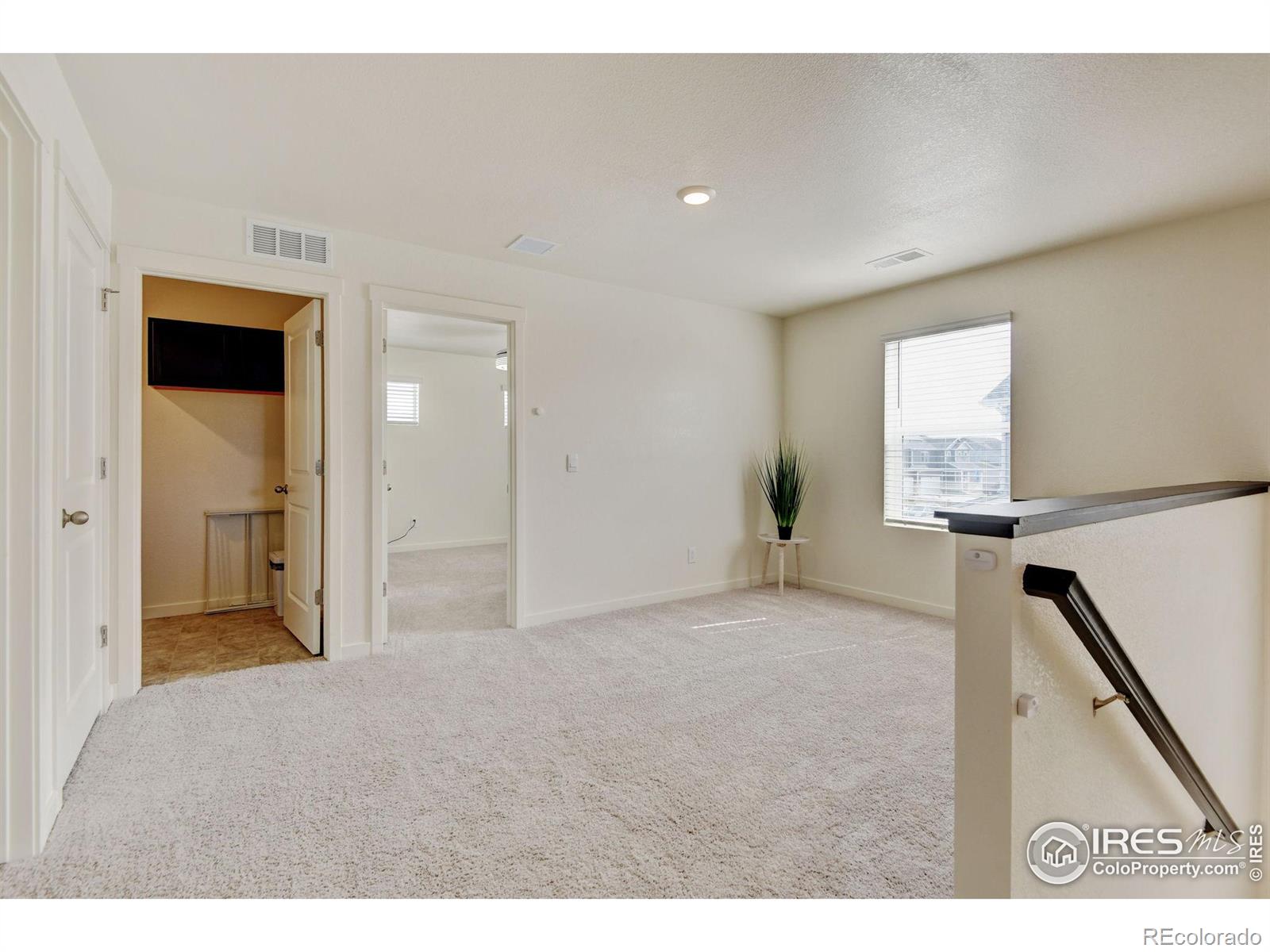 MLS Image #17 for 3657  speedwell street,wellington, Colorado