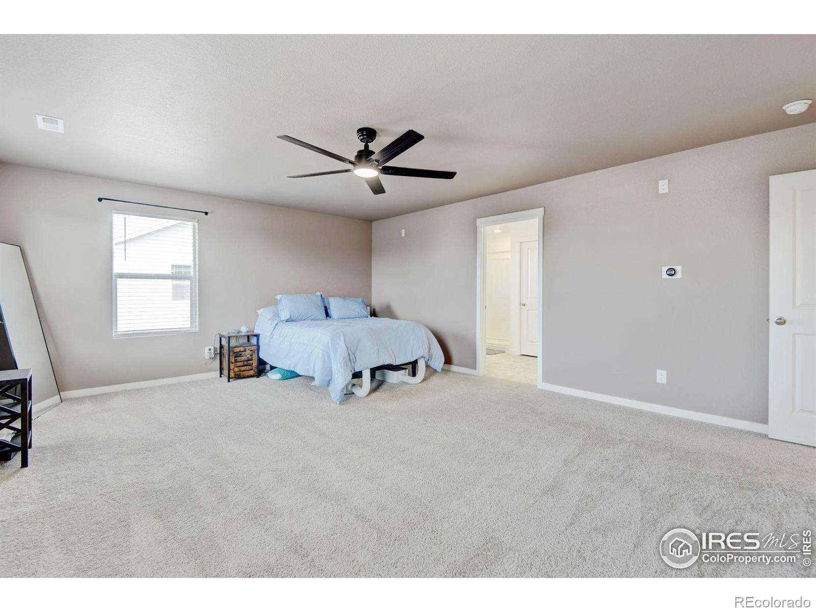 MLS Image #21 for 3657  speedwell street,wellington, Colorado