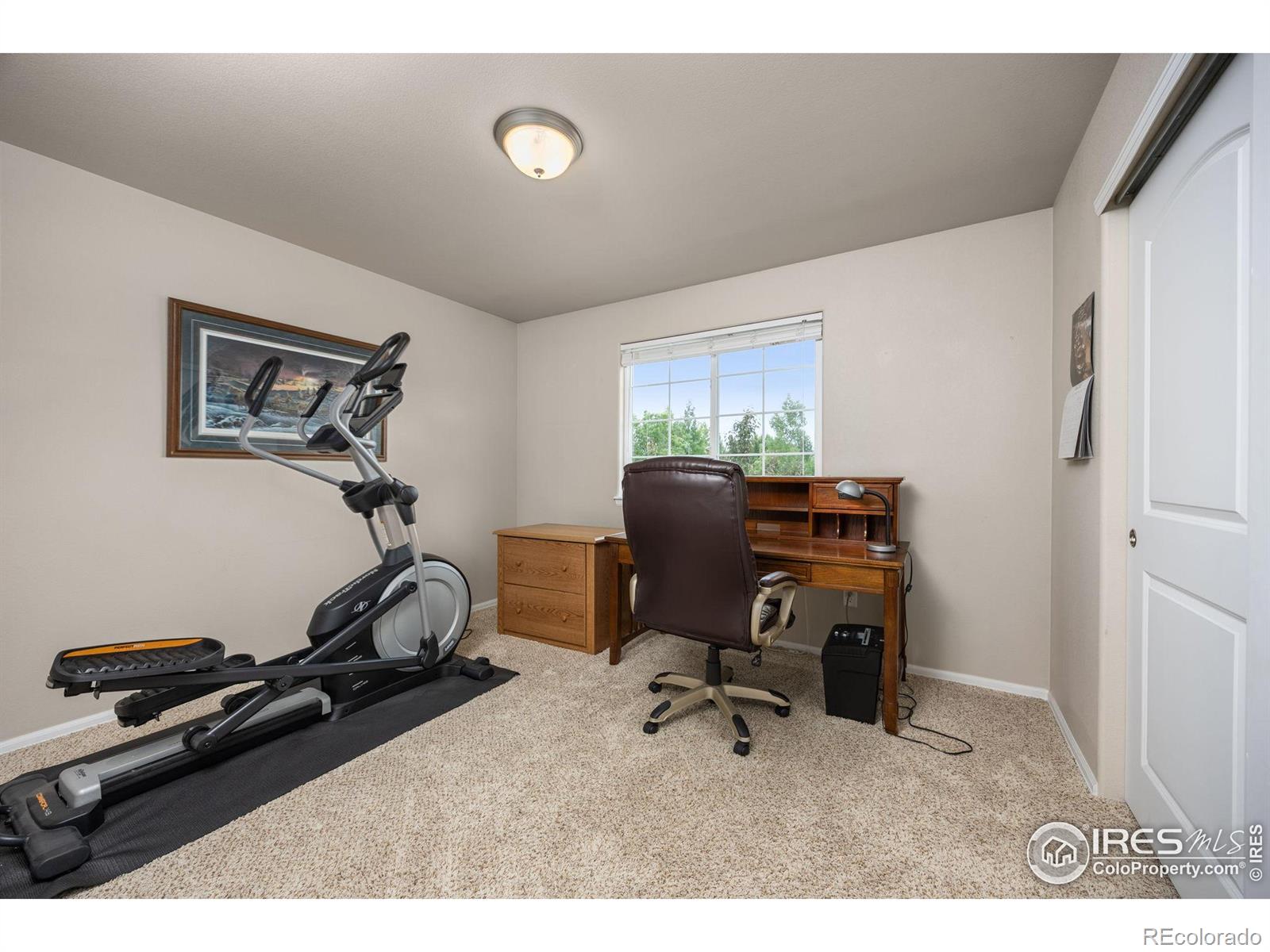 MLS Image #18 for 1475  massadona place,loveland, Colorado