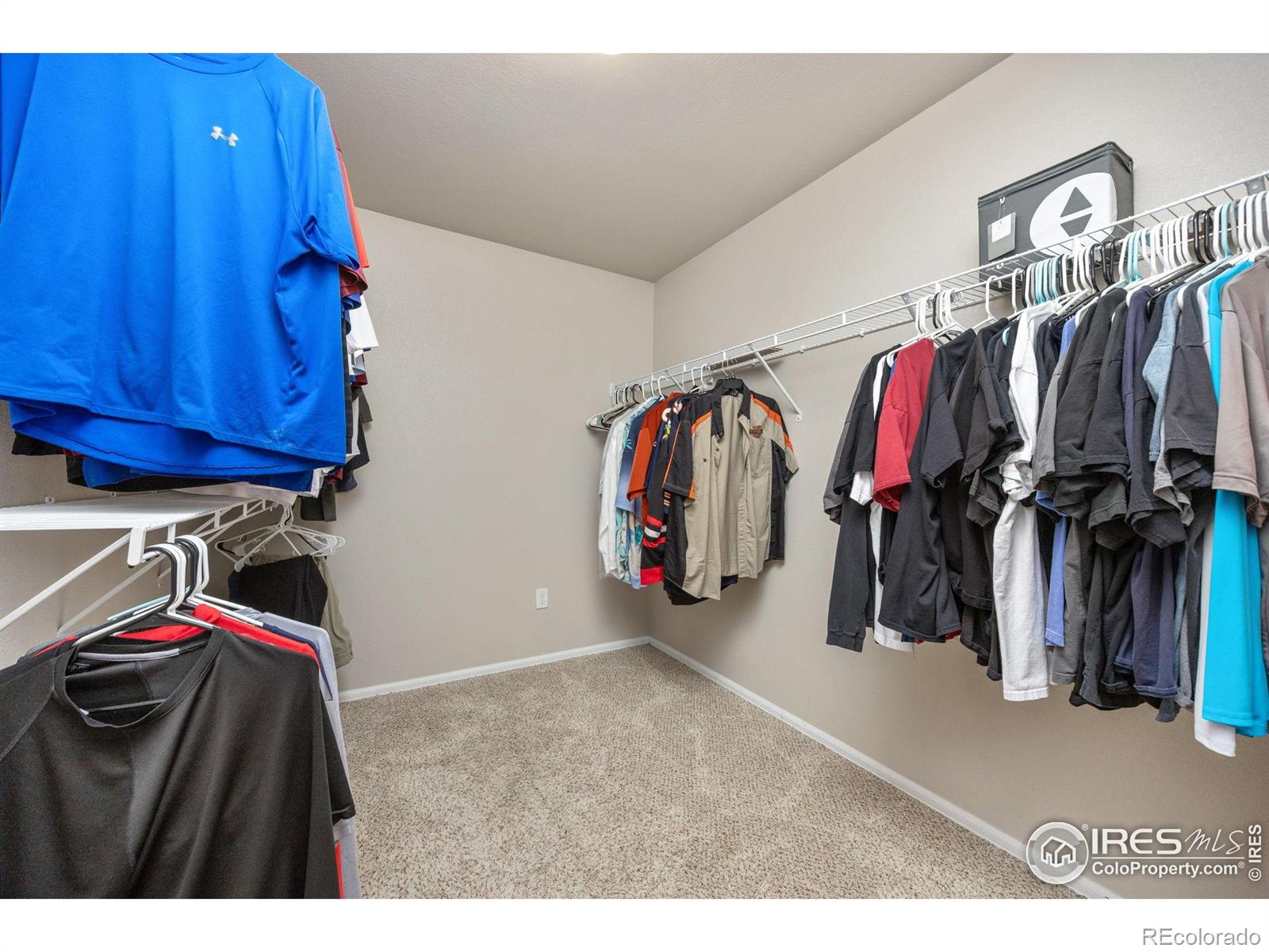 MLS Image #21 for 1475  massadona place,loveland, Colorado