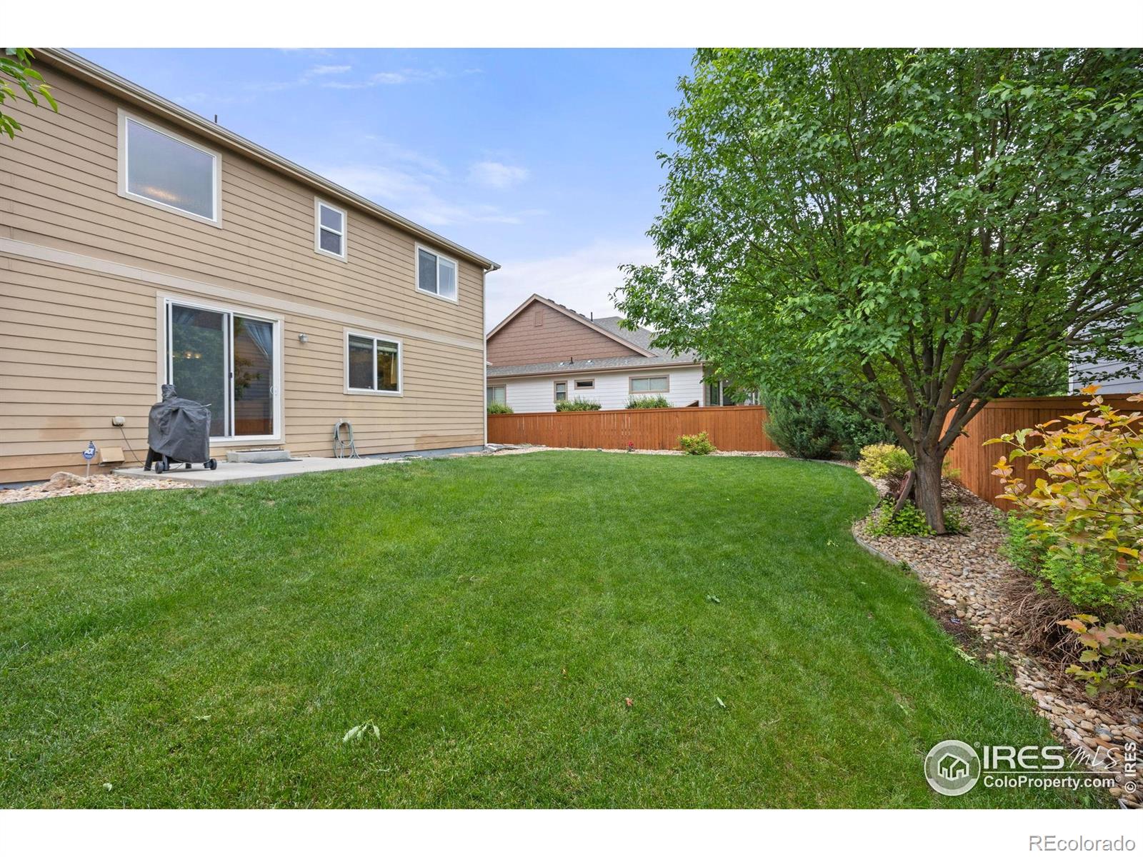 MLS Image #26 for 1475  massadona place,loveland, Colorado