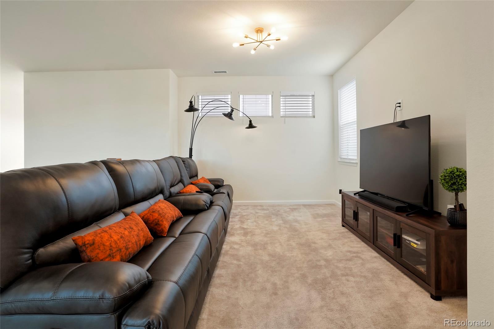 MLS Image #19 for 5737  amarosa drive,parker, Colorado