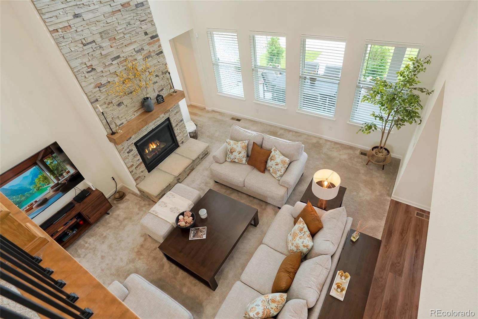 MLS Image #21 for 5737  amarosa drive,parker, Colorado
