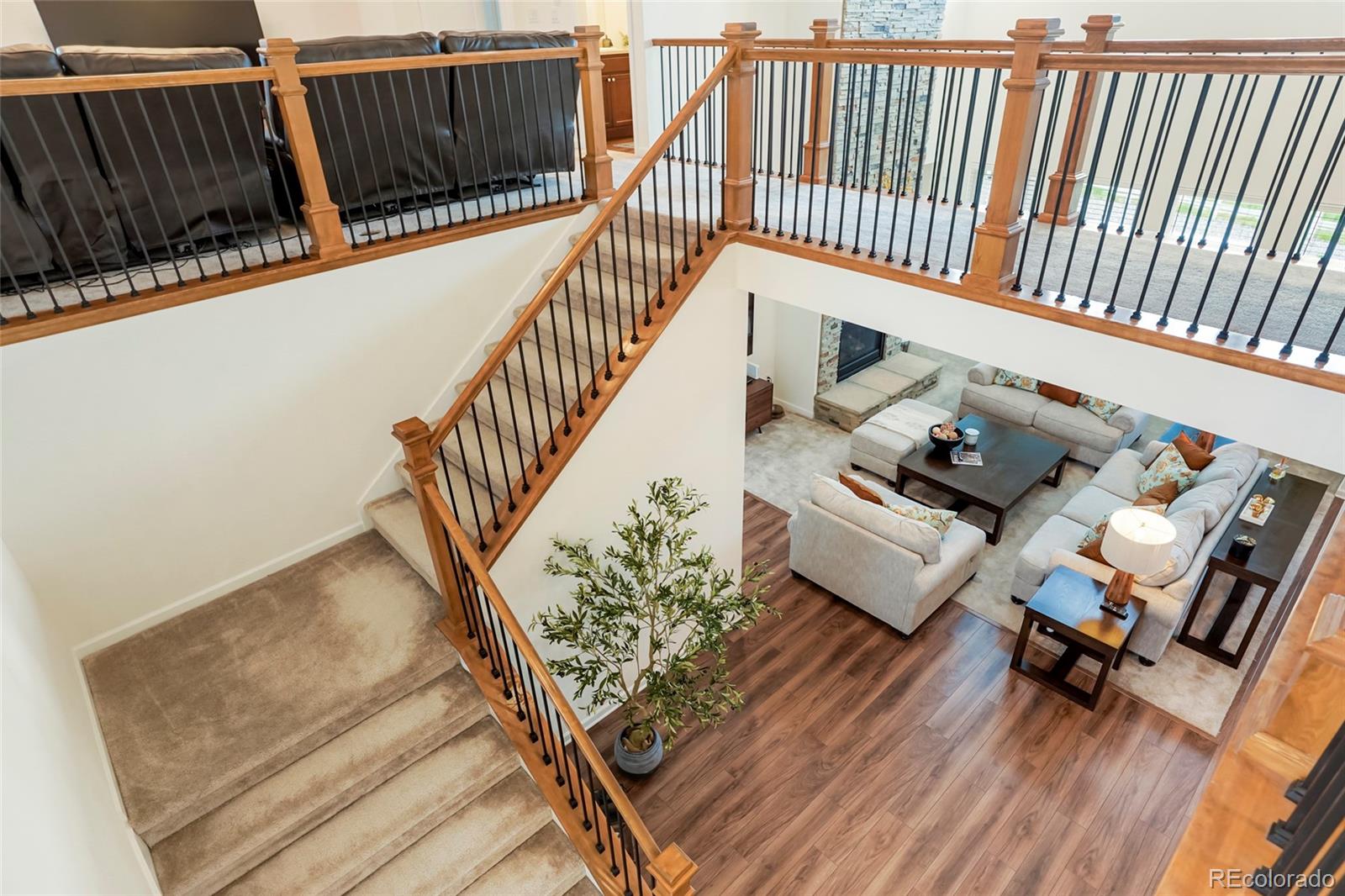 MLS Image #22 for 5737  amarosa drive,parker, Colorado