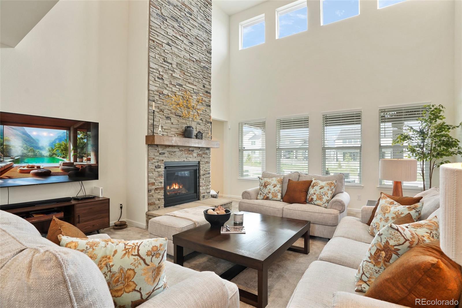 MLS Image #3 for 5737  amarosa drive,parker, Colorado