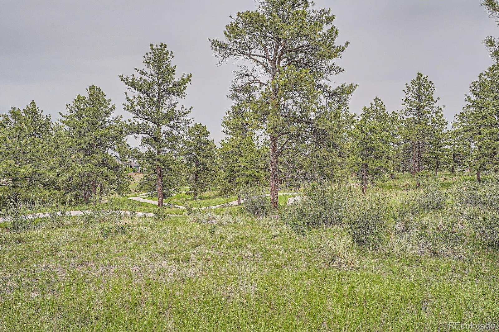 MLS Image #28 for 8153 s ider court,aurora, Colorado