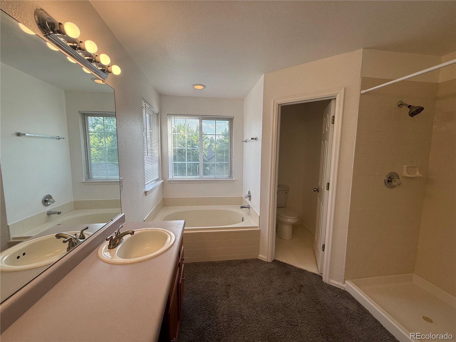 MLS Image #19 for 4064 s himalaya way,aurora, Colorado