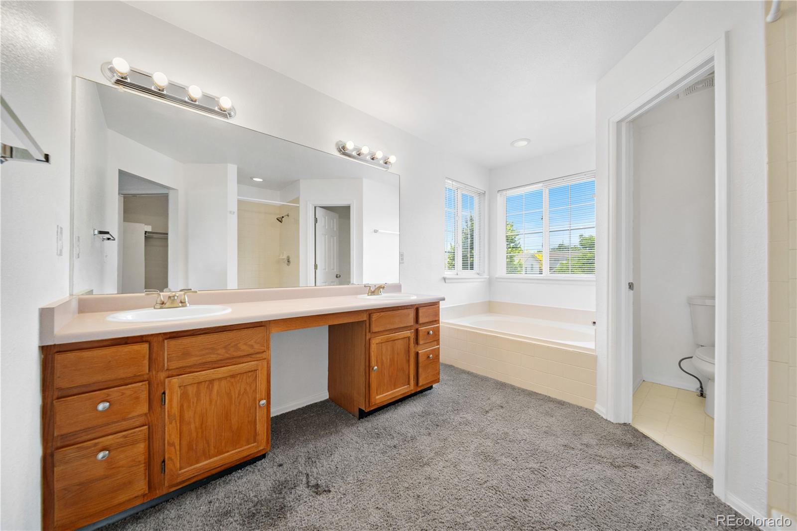MLS Image #20 for 4064 s himalaya way,aurora, Colorado