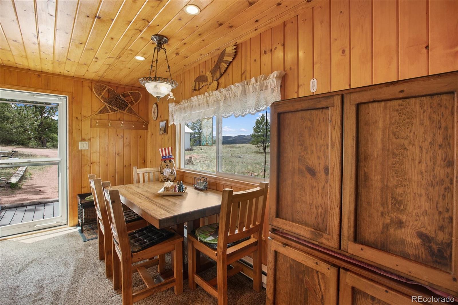 MLS Image #10 for 949  doe valley road,guffey, Colorado
