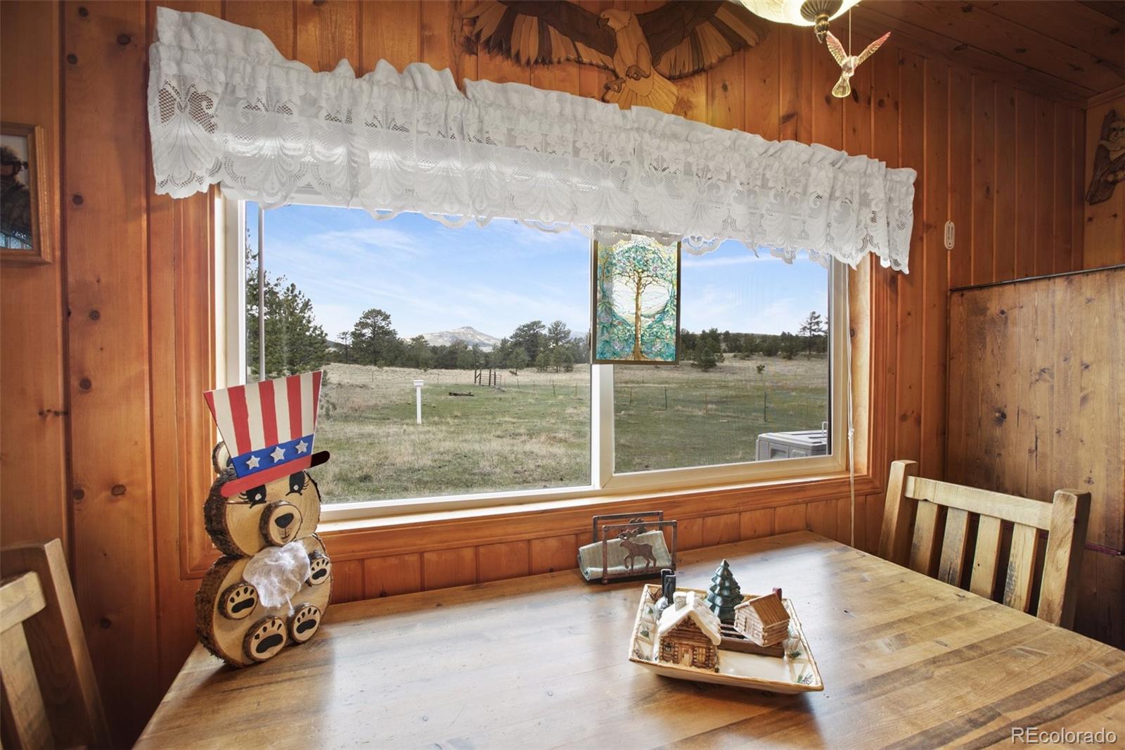 MLS Image #11 for 949  doe valley road,guffey, Colorado