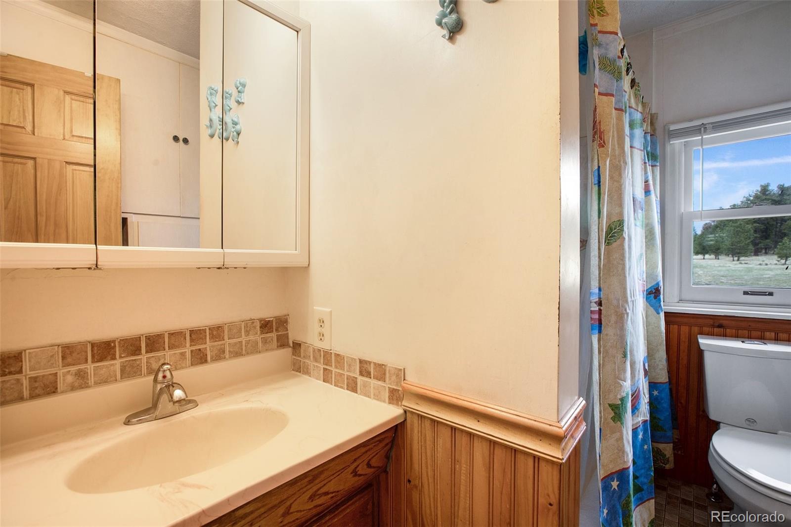 MLS Image #12 for 949  doe valley road,guffey, Colorado