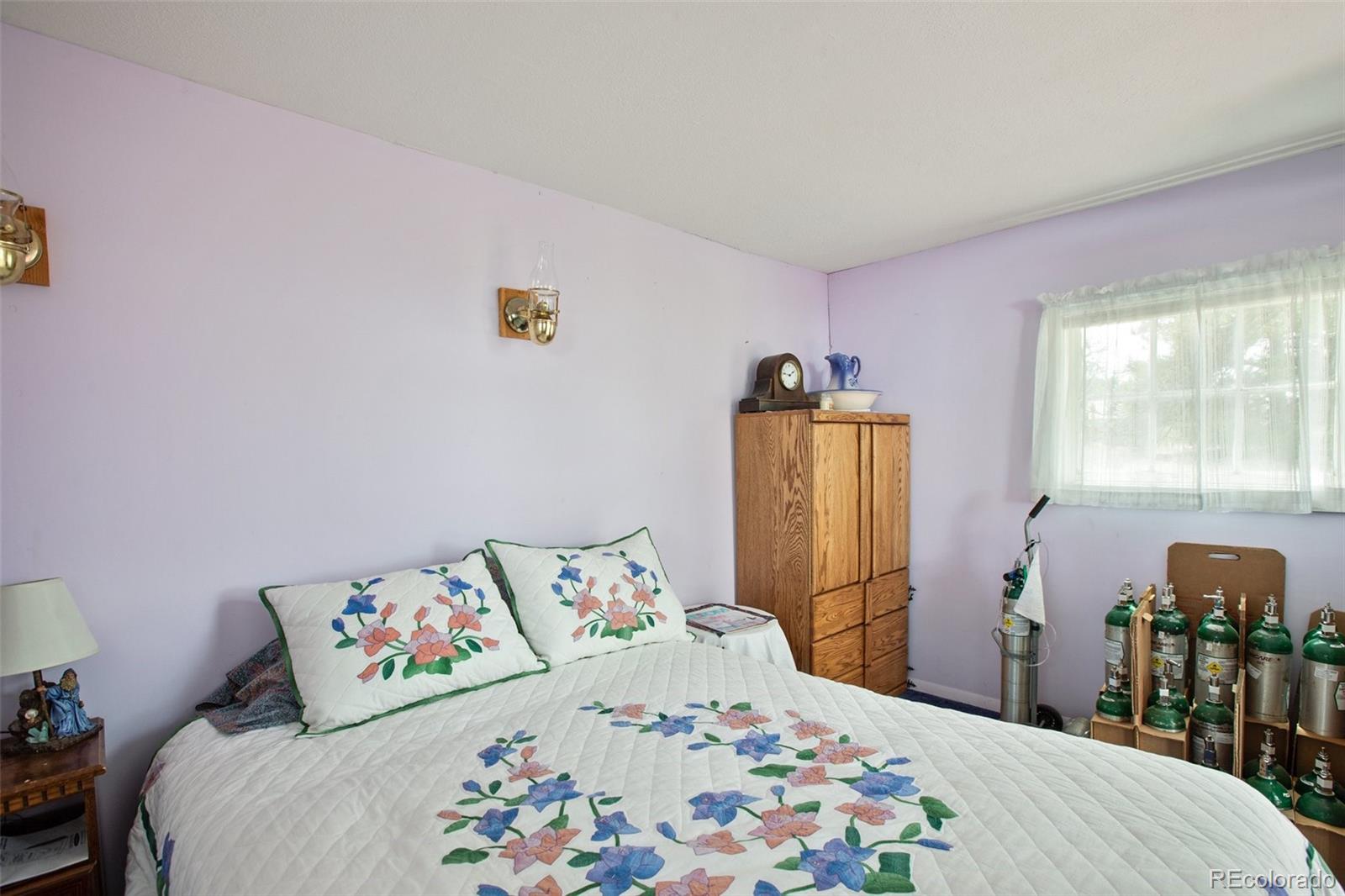 MLS Image #18 for 949  doe valley road,guffey, Colorado
