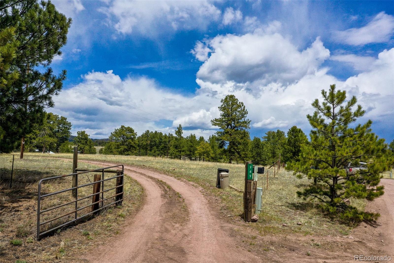 MLS Image #30 for 949  doe valley road,guffey, Colorado