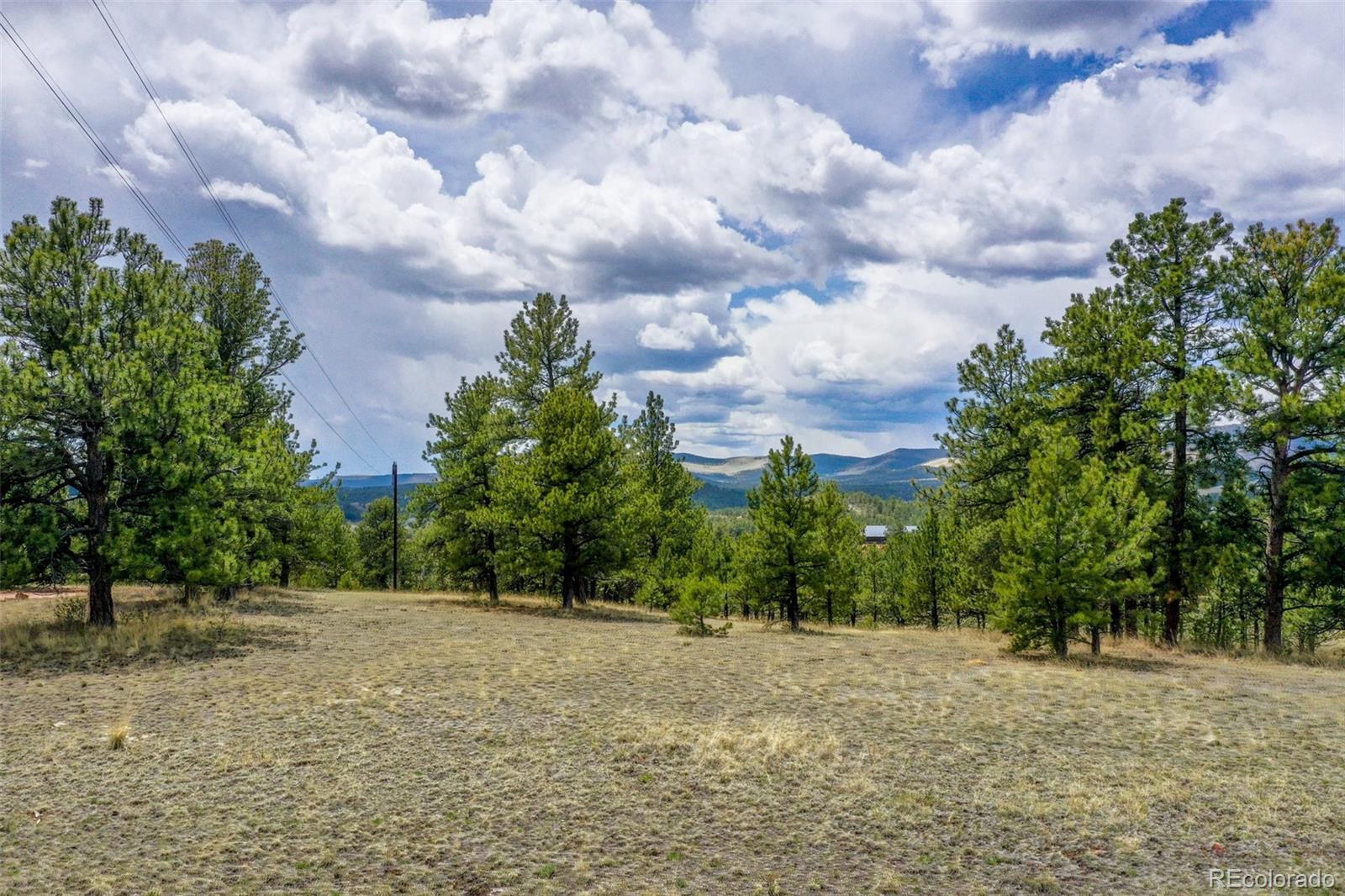 MLS Image #31 for 949  doe valley road,guffey, Colorado