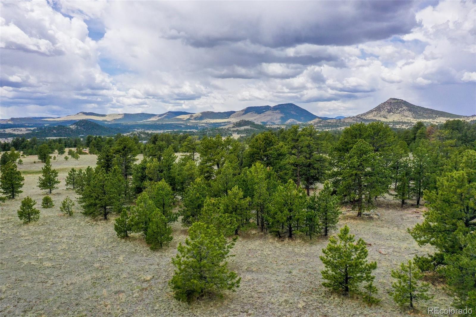 MLS Image #39 for 949  doe valley road,guffey, Colorado