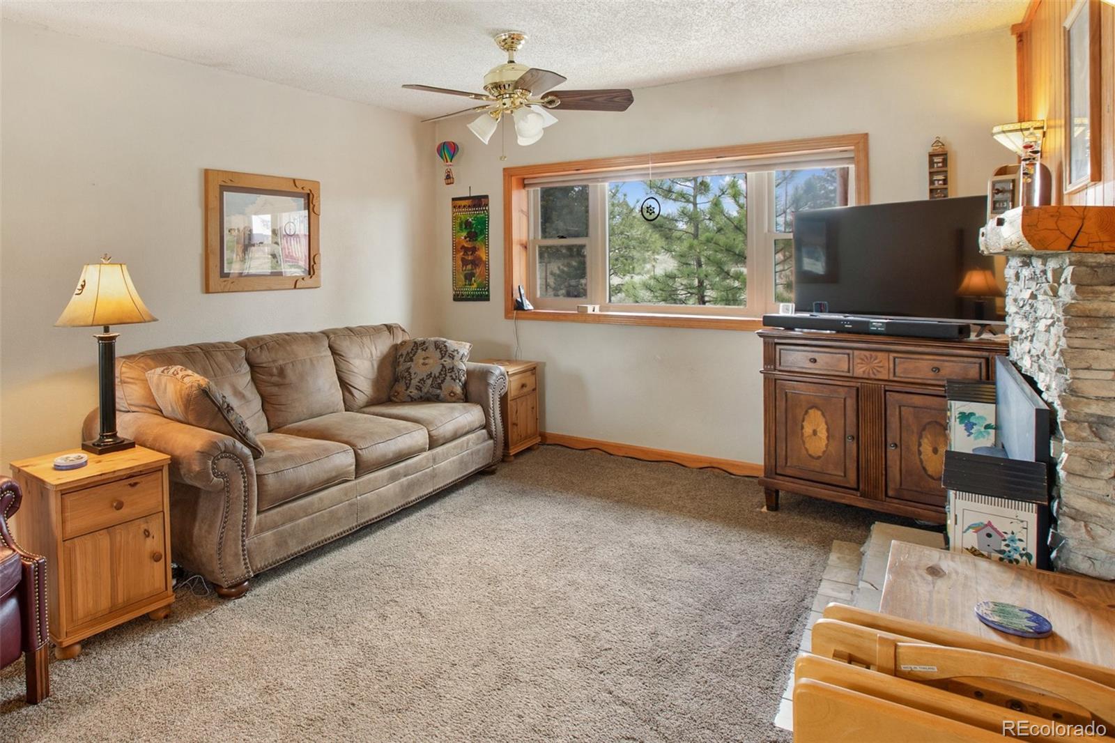 MLS Image #4 for 949  doe valley road,guffey, Colorado