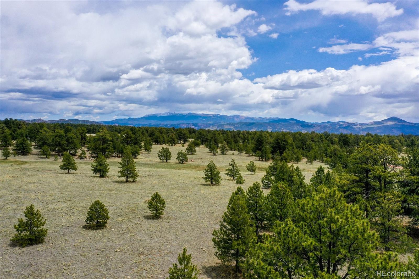 MLS Image #43 for 949  doe valley road,guffey, Colorado