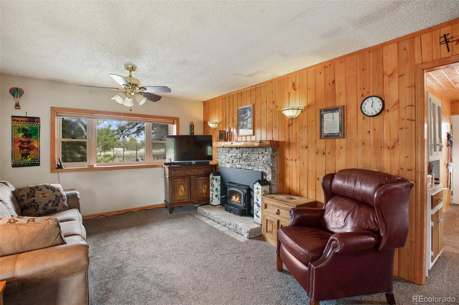 MLS Image #5 for 949  doe valley road,guffey, Colorado