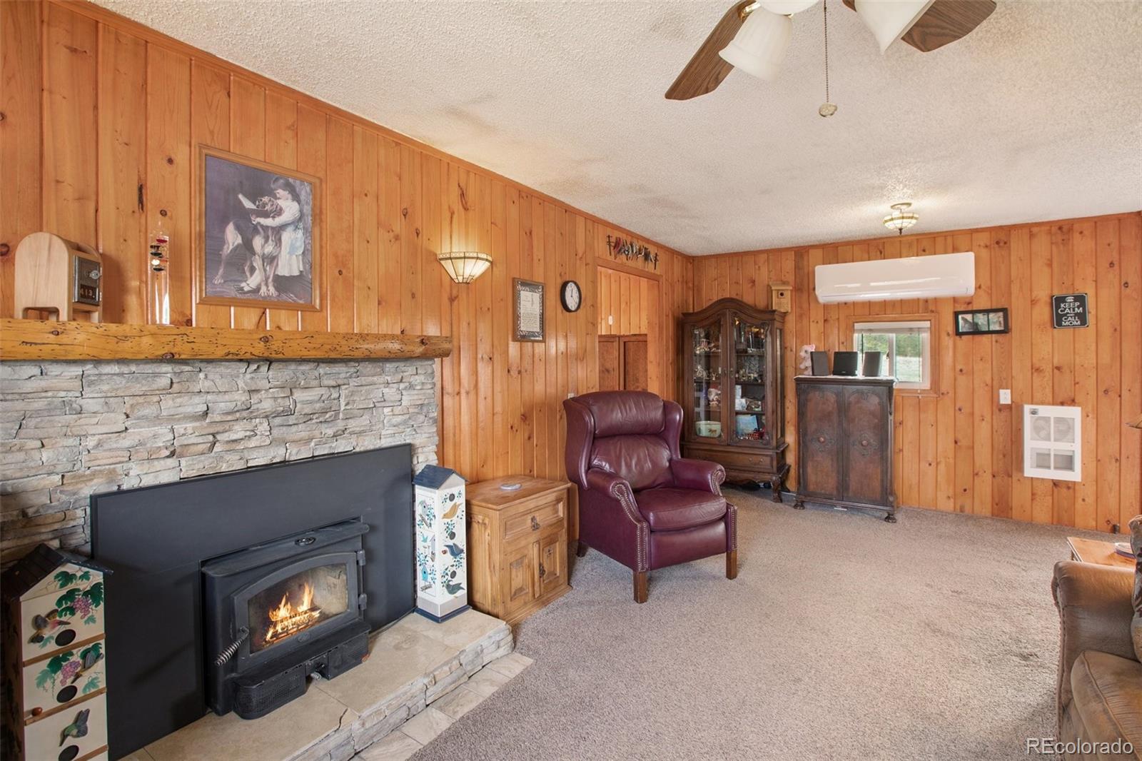 MLS Image #6 for 949  doe valley road,guffey, Colorado
