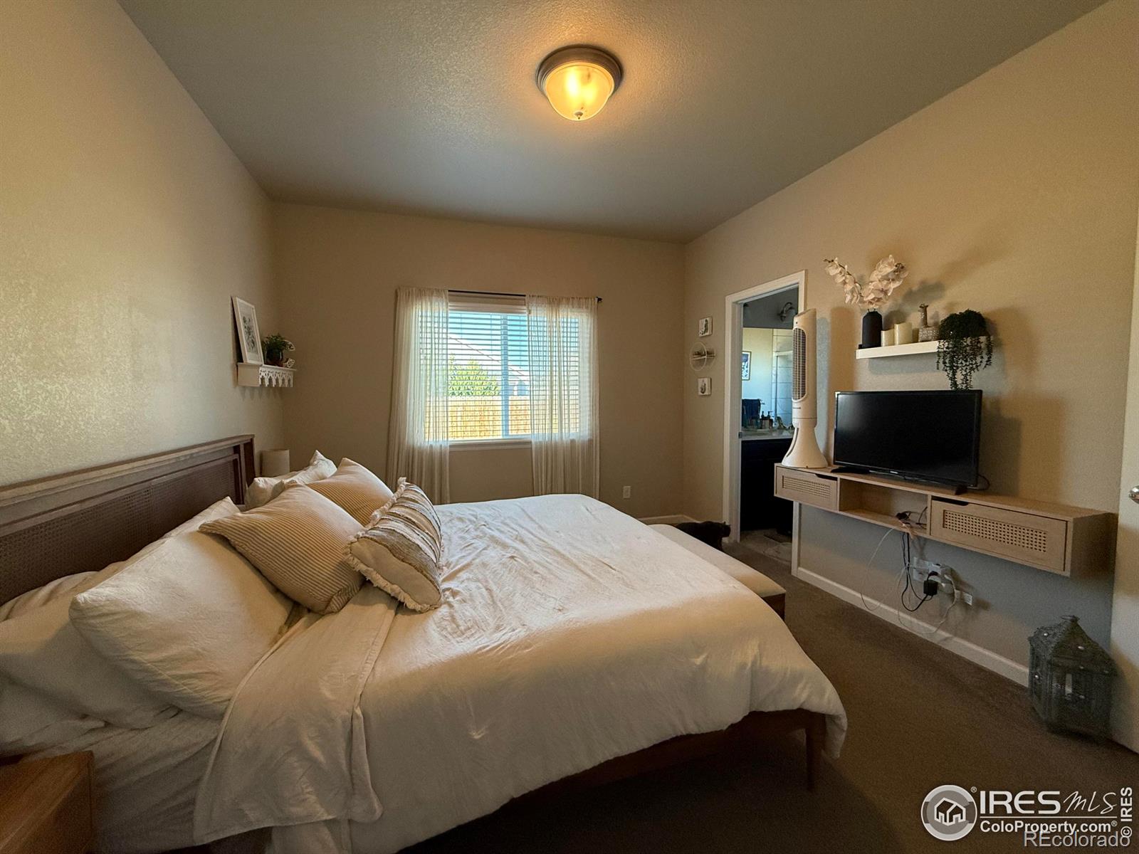 MLS Image #12 for 706 s prairie drive,milliken, Colorado