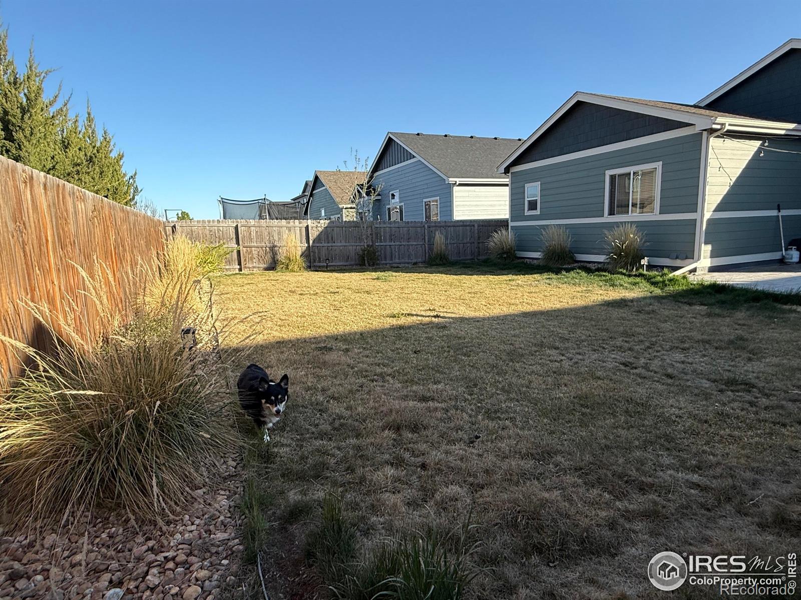 MLS Image #24 for 706 s prairie drive,milliken, Colorado