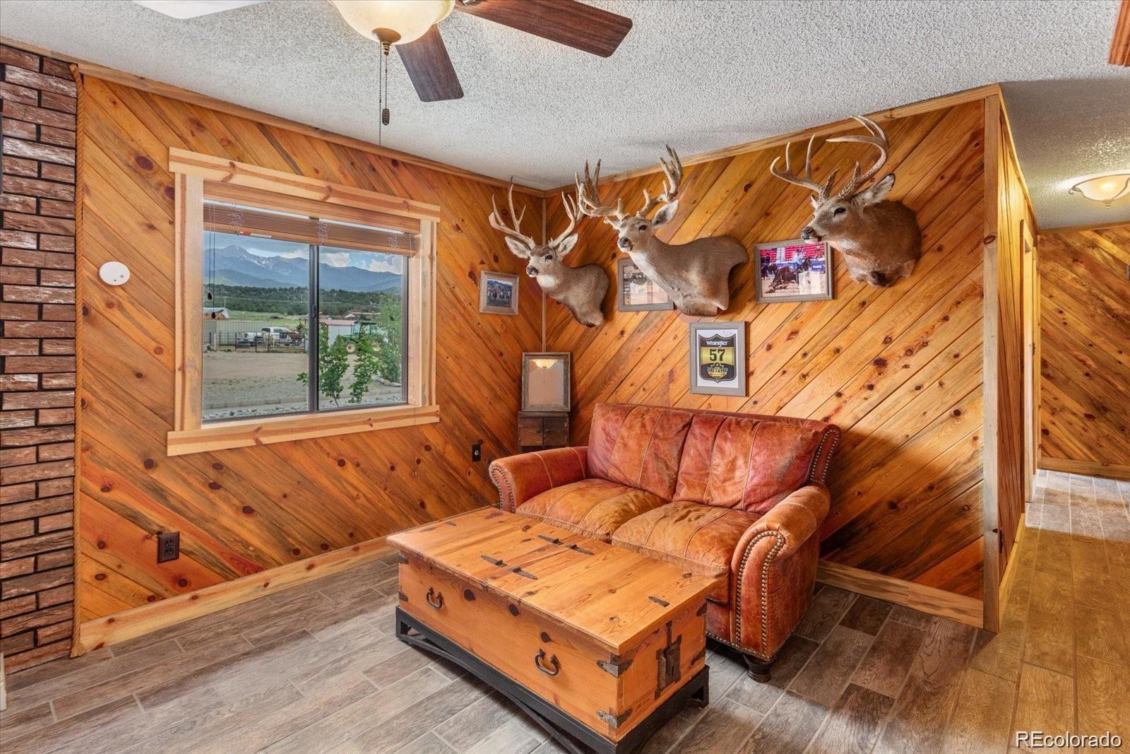 MLS Image #21 for 11679  us highway 50 ,howard, Colorado